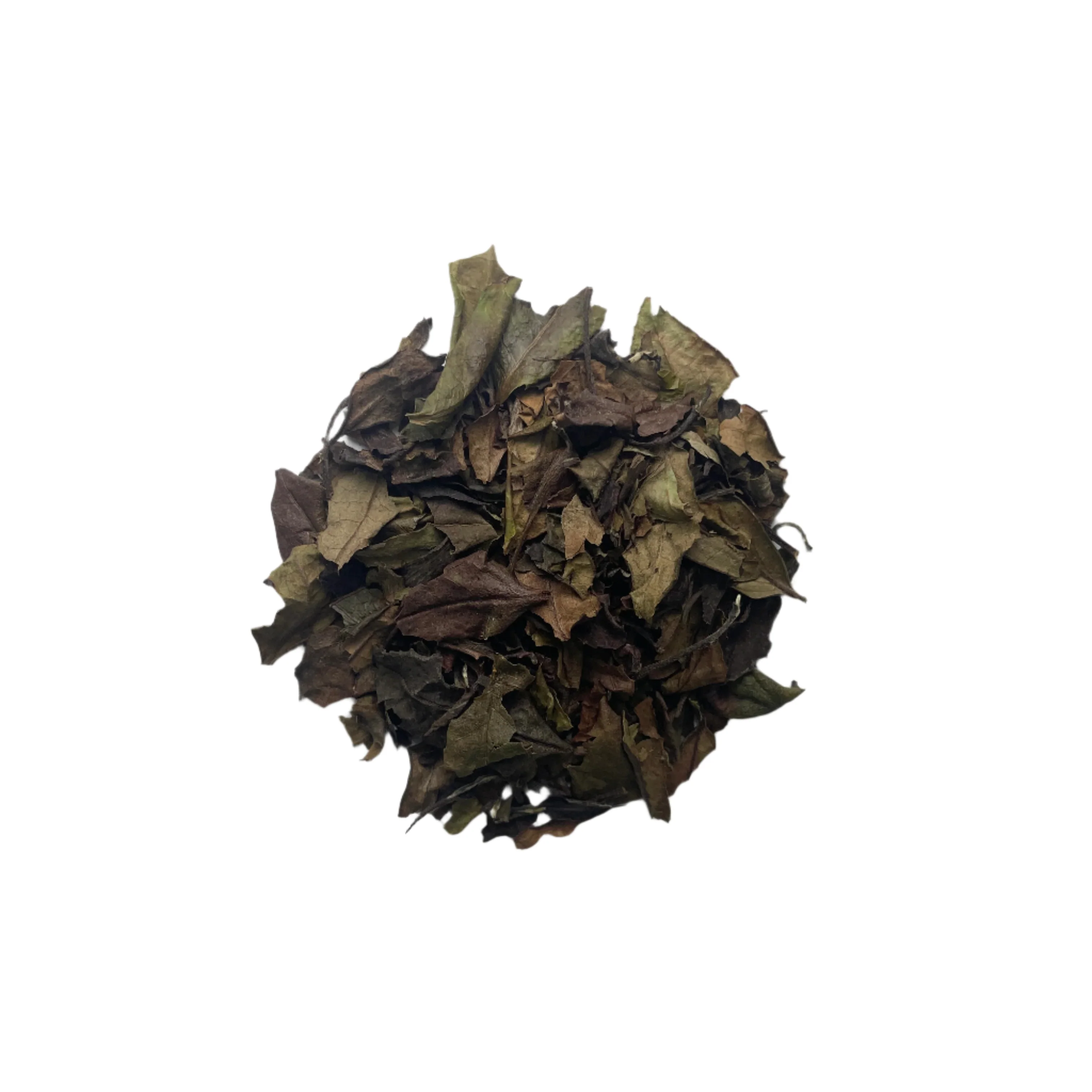 #0923.K6 Azuma Tea: Naturally Grown Spring Okumidori White Tea from Kyoto (Experimental) おくみどり白茶 - Image 2