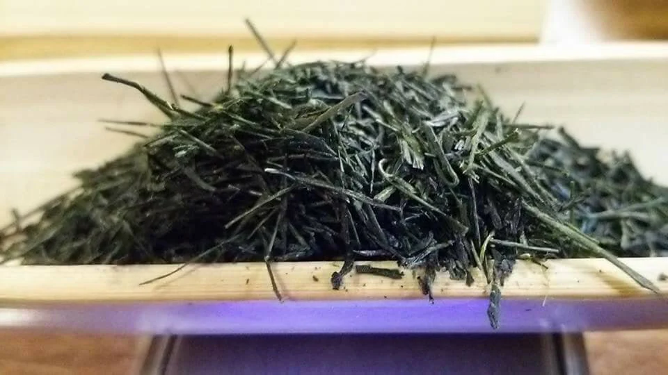ENGAWA - Tenkaichi 天下一 Gyokuro Saemidori Heritage Grade - National Tea Competition Grand Prize (30g Gift Can #0433.F2) - Image 4
