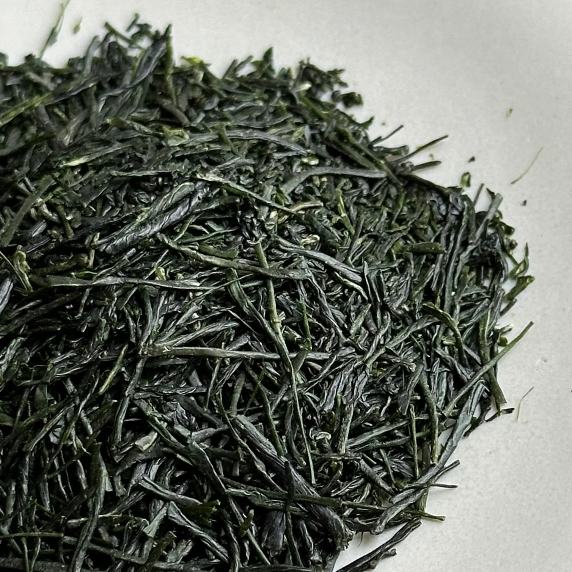 ENGAWA - Ryo 綾 Kabusecha Saemidori - Nakata Tea Garden - 2024 National Tea Competition 2nd Place (30g Gift Can #0824.K6) - Image 3