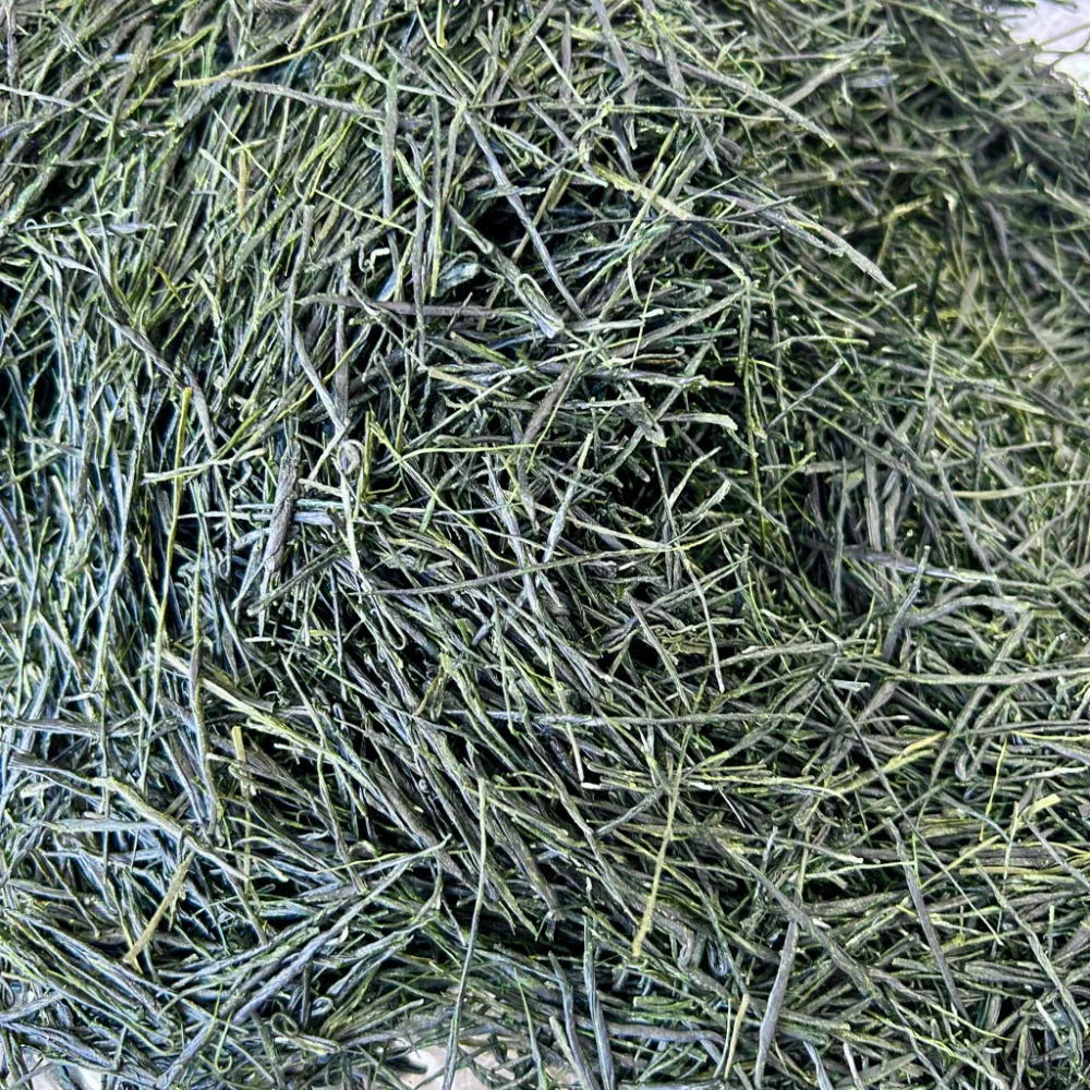 #0850.J1 Temomicha Ibaraki Green Tea - Handrolled by Nemoto Hiroki - Image 2
