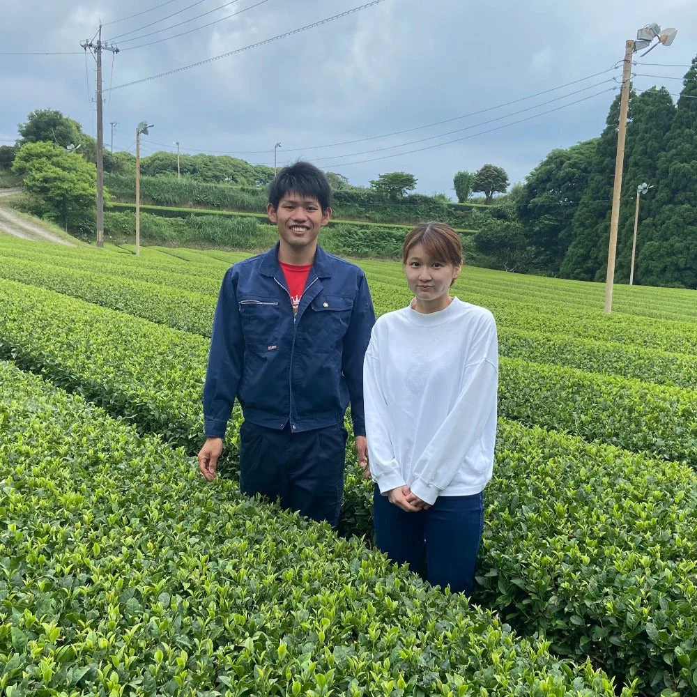 #0897.K2 Iba Yu Tea Garden: Tanegashima Single Cultivar Sencha - Yutaka Midori (micro batch, limited) - Image 4