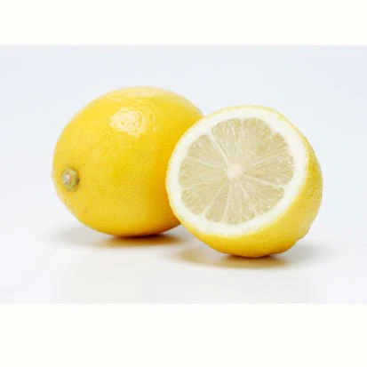 #0955.SX Chasandai: Cold-Brew Lemon Green Tea (5g x 5 tea bags) - Image 3