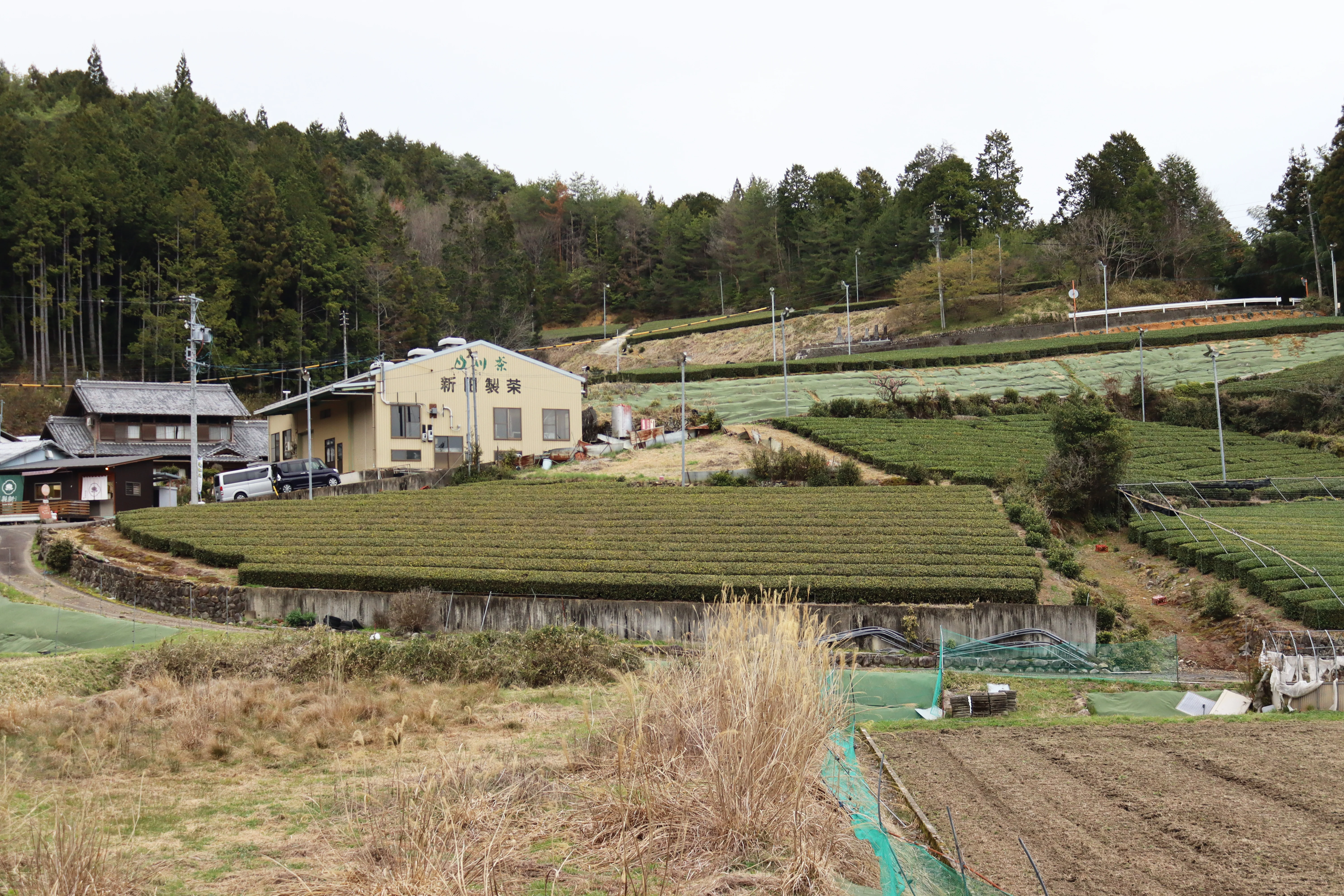 #1056.G1 Nitta Tea Factory: Premium Karigane - Image 7