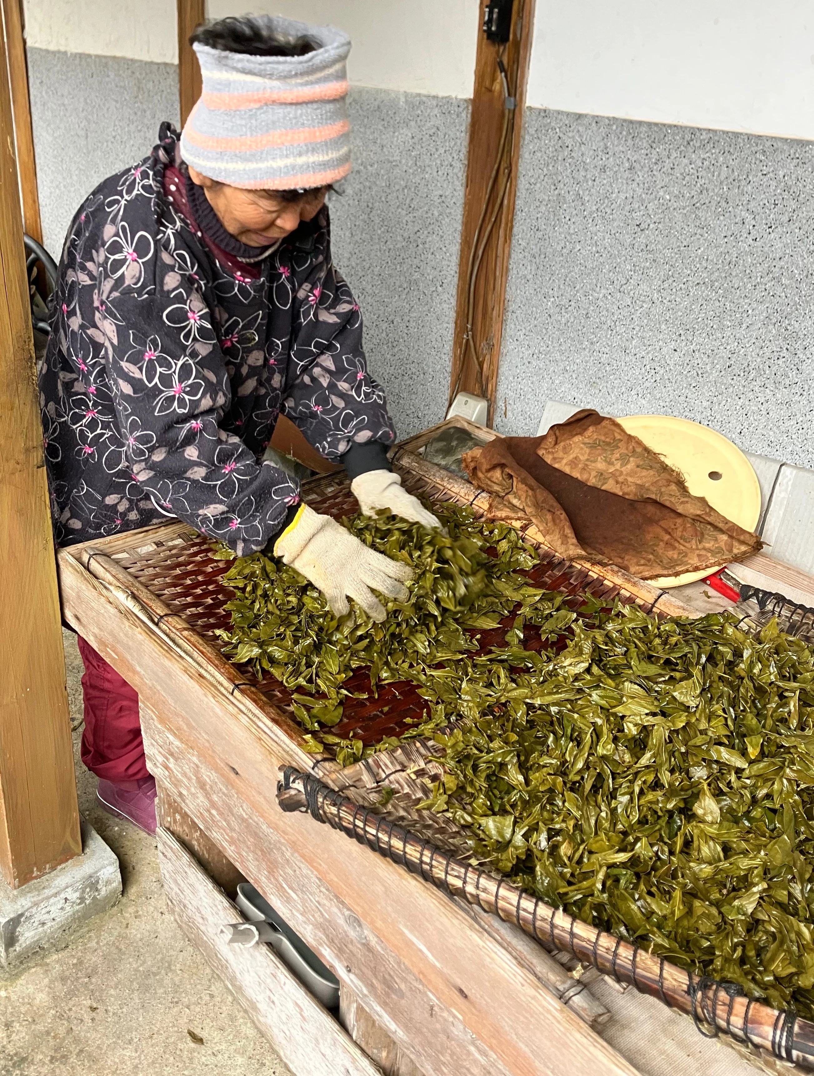 #0834.T2 Shishikui Kancha from Tokushima Prefecture - Handpicked by Farmer Akemi Ishimoto - Image 3