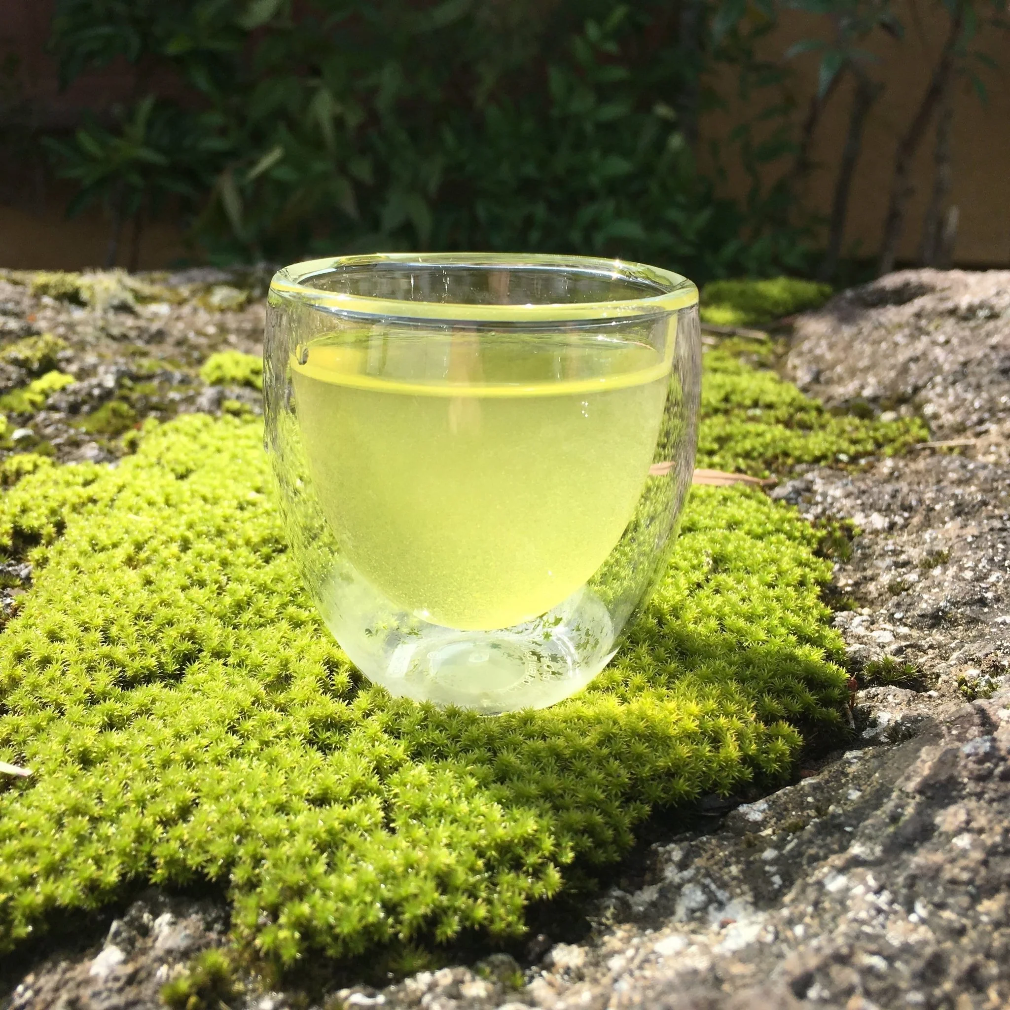 #0170.K3 Ashigaracha Labo: Ogikubo Sencha Yabukita Micro-lot (Odawara, Kanagawa) - Image 2