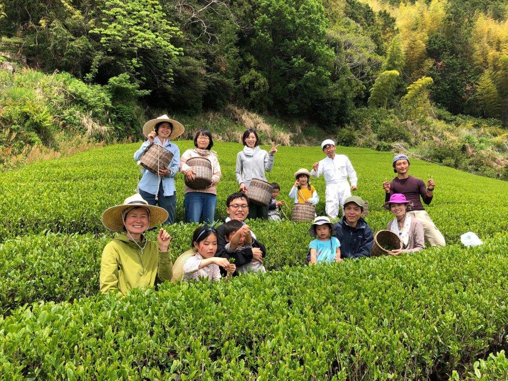 PREORDER available May 🍵 2026 #0117.S5 Ayumi Farms (Cyittorattu): Handpicked Shizuoka Sencha (Ultra Micro Lot, Limited Edition) 手と手で紡ぐ「手摘み煎茶」 30g - Image 3