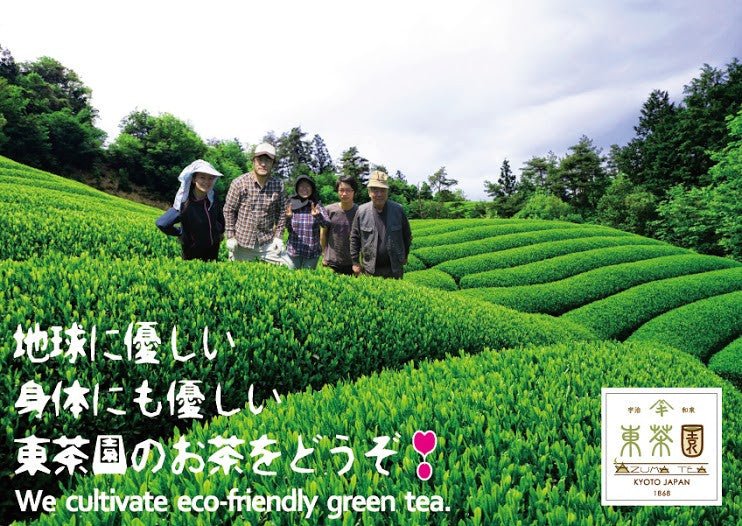 #0087.K6 Azuma Tea Garden: All-Purpose Matcha (Premium Culinary Grade) オールパーポス抹茶 - Image 4