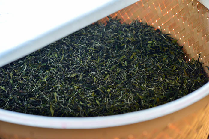 #0245.S2 Bizenya: #05 Haru - Handpicked Sayamacha White Tea, Fukumidori Cultivar 狭山白茶 白瑠（Haru） - Image 4
