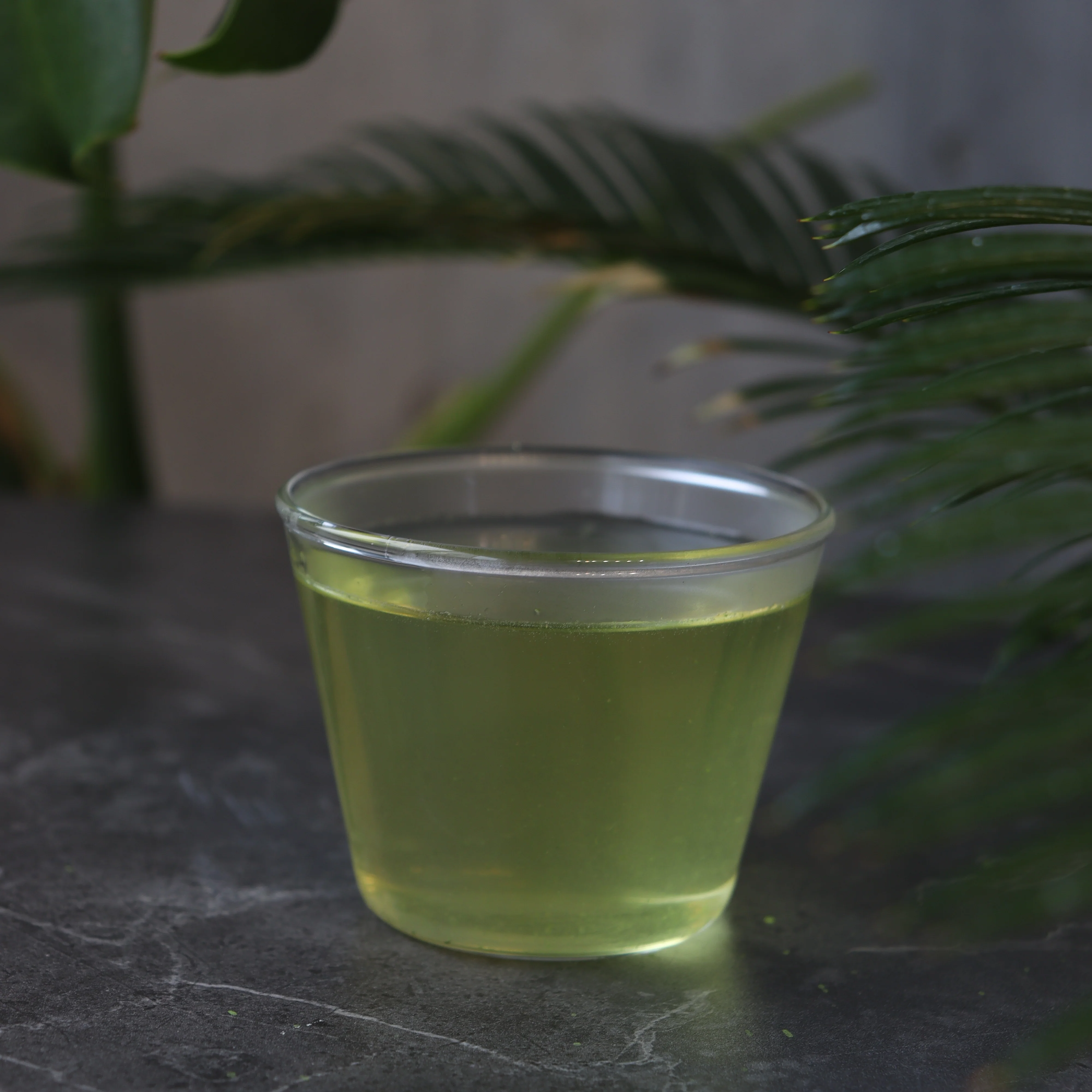 PREORDER available late May 🍵 2026 #0173.S1 Chakouan: Premium Imari Sencha, Sachi no Mai, Green Tea 伊萬里茶・幸の舞 (H8204) - Image 2