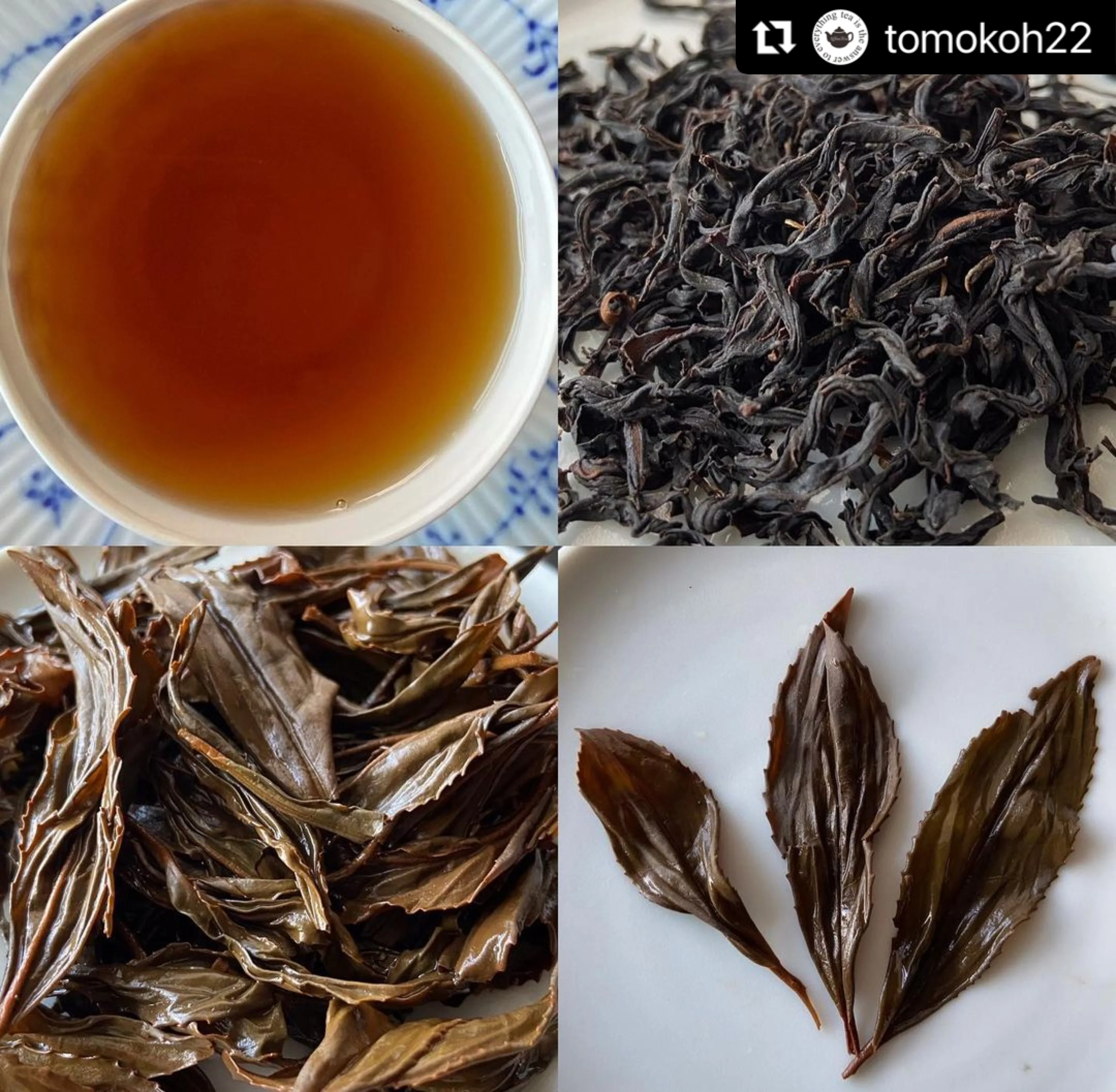 #0268.F2 (No stock for 2025) Chiyonoen Tea Garden: #21A Mountain-Grown Yame Black Tea, Single Cultivar Kanaya Midori Spring【矢部紅茶】かなやみどり 春摘み (Naturally Grown) - Image 3