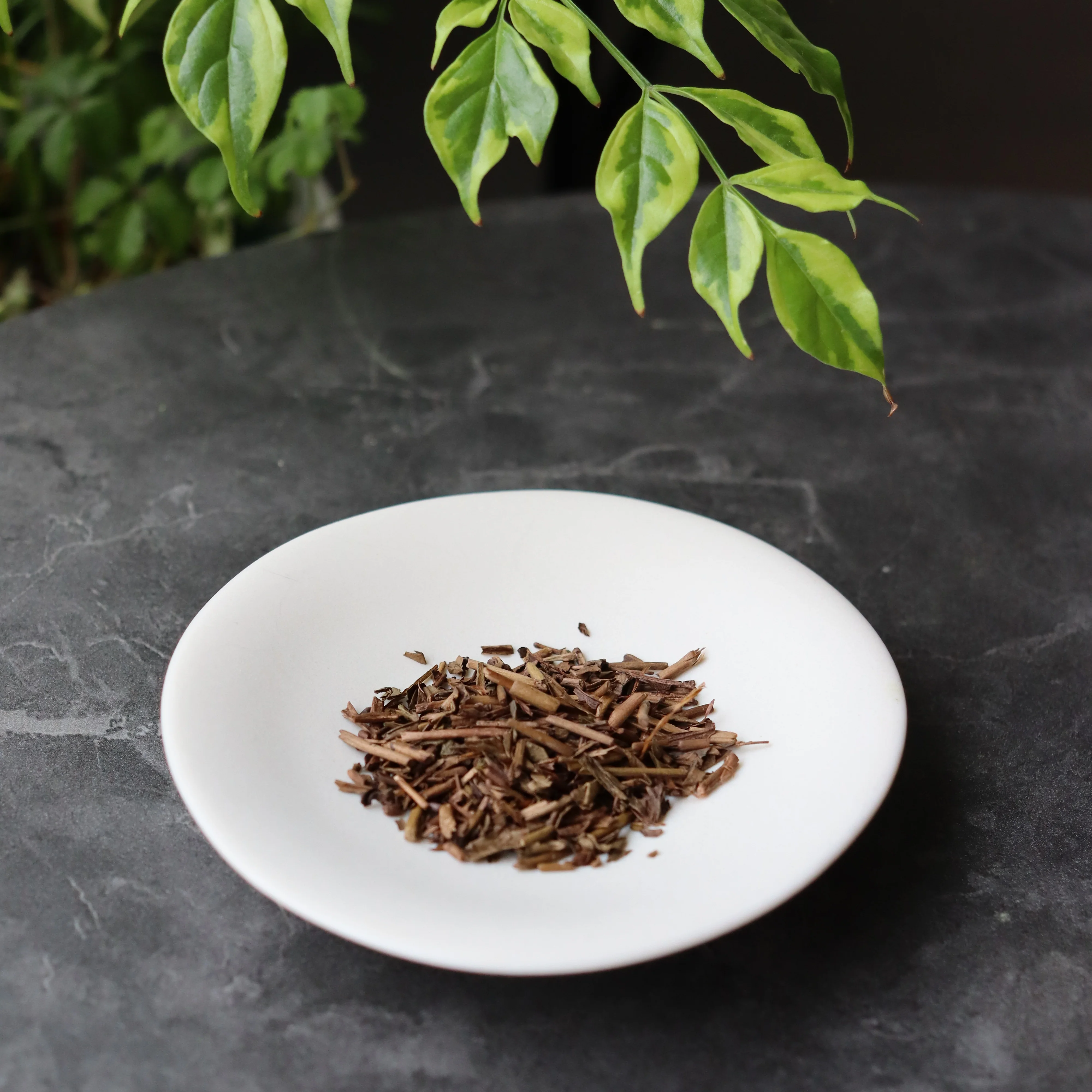 #0211.S5 Dobashien Tea #18: Kakegawa Series: Premium Shizuoka Hojicha Roasted Green Tea 特上ほうじ茶 100g - Image 2