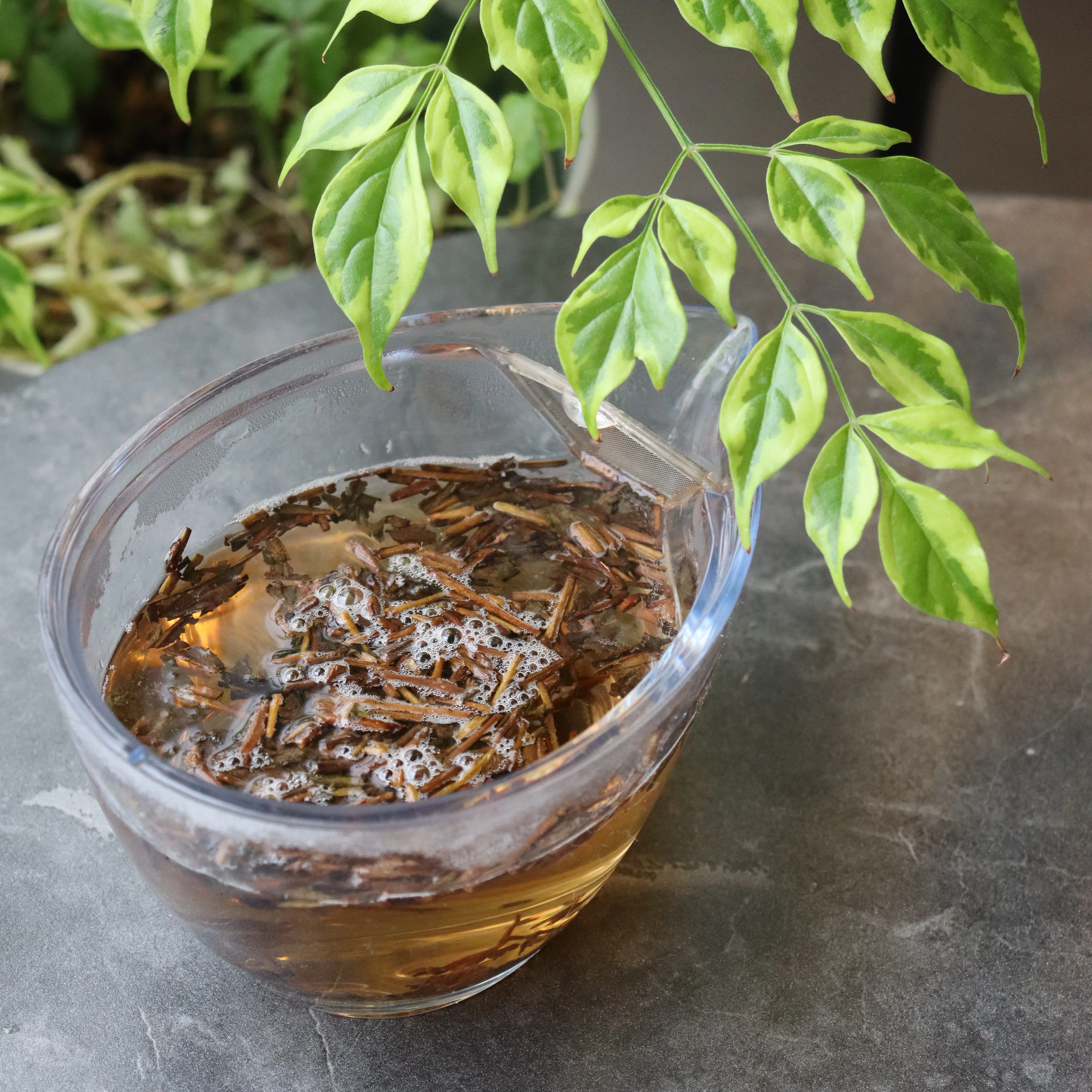 #0211.S5 Dobashien Tea #18: Kakegawa Series: Premium Shizuoka Hojicha Roasted Green Tea 特上ほうじ茶 100g - Image 3