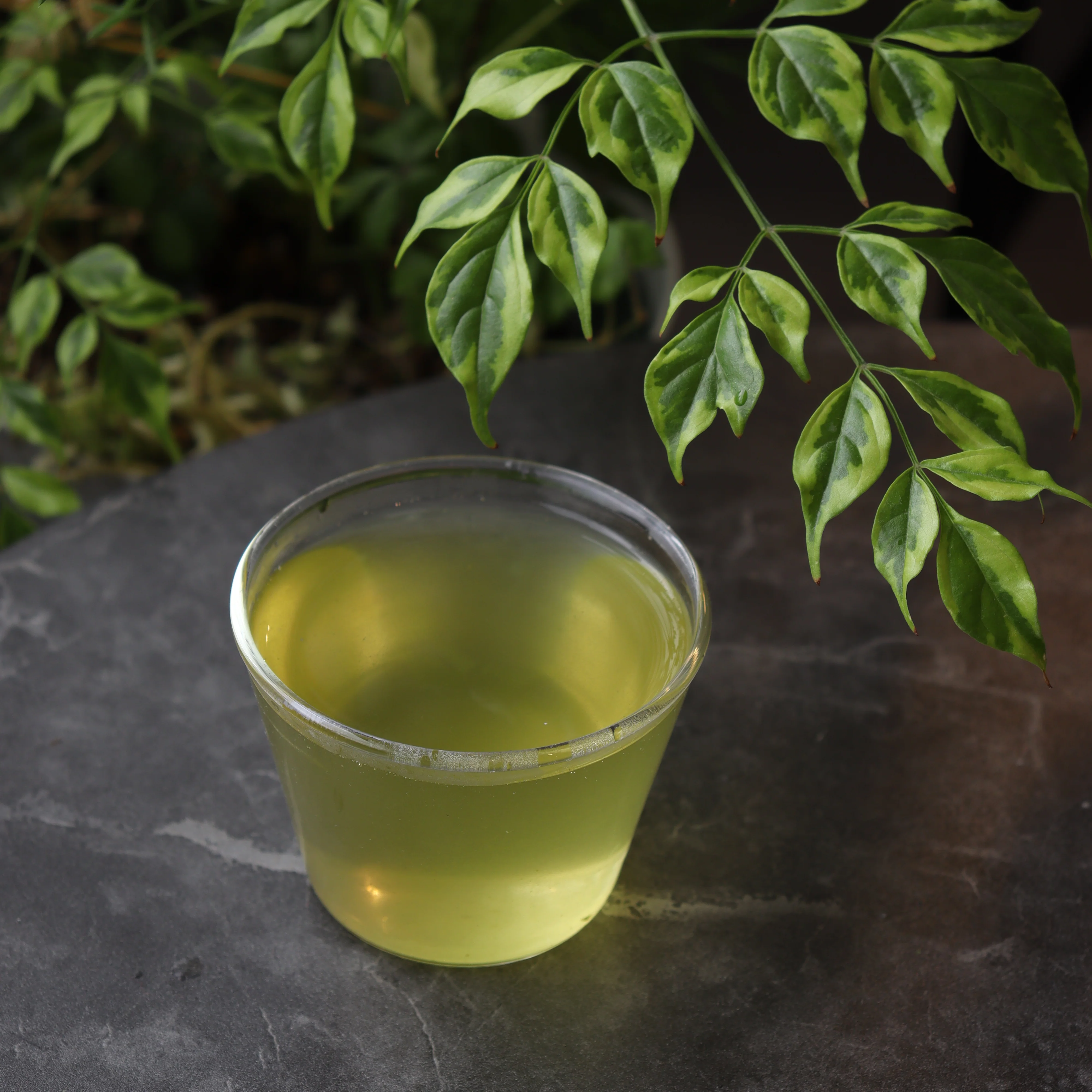 #0205.S5 Dobashien Tea #12: Kakegawa Series: Spring Harvested Shizuoka Aracha, Hatsumidori 荒茶 初緑 200g - Image 2