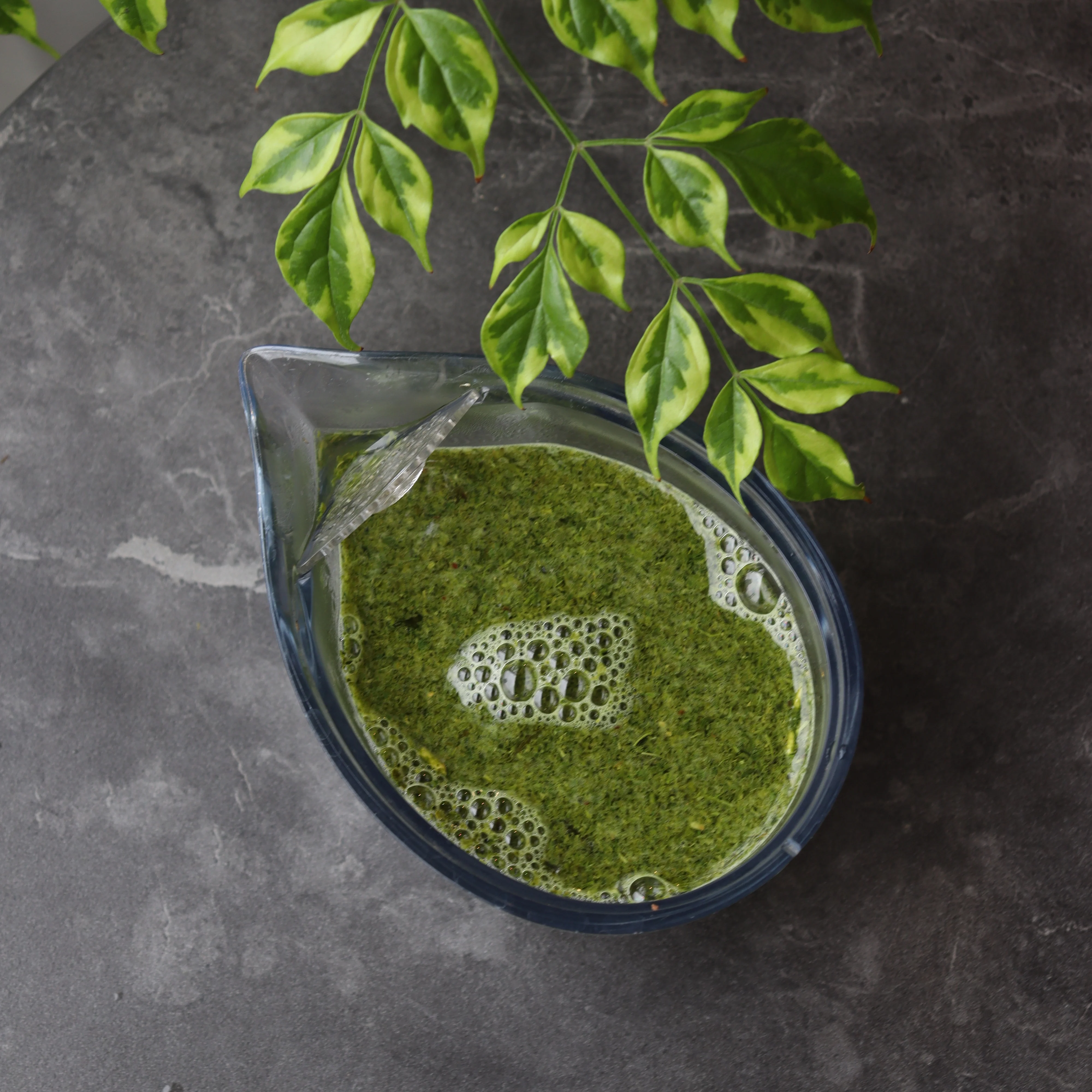 #0203.S5 Dobashien Tea #10: Kakegawa Series: Superior Sencha Rikyu 煎茶 利休 - Image 2