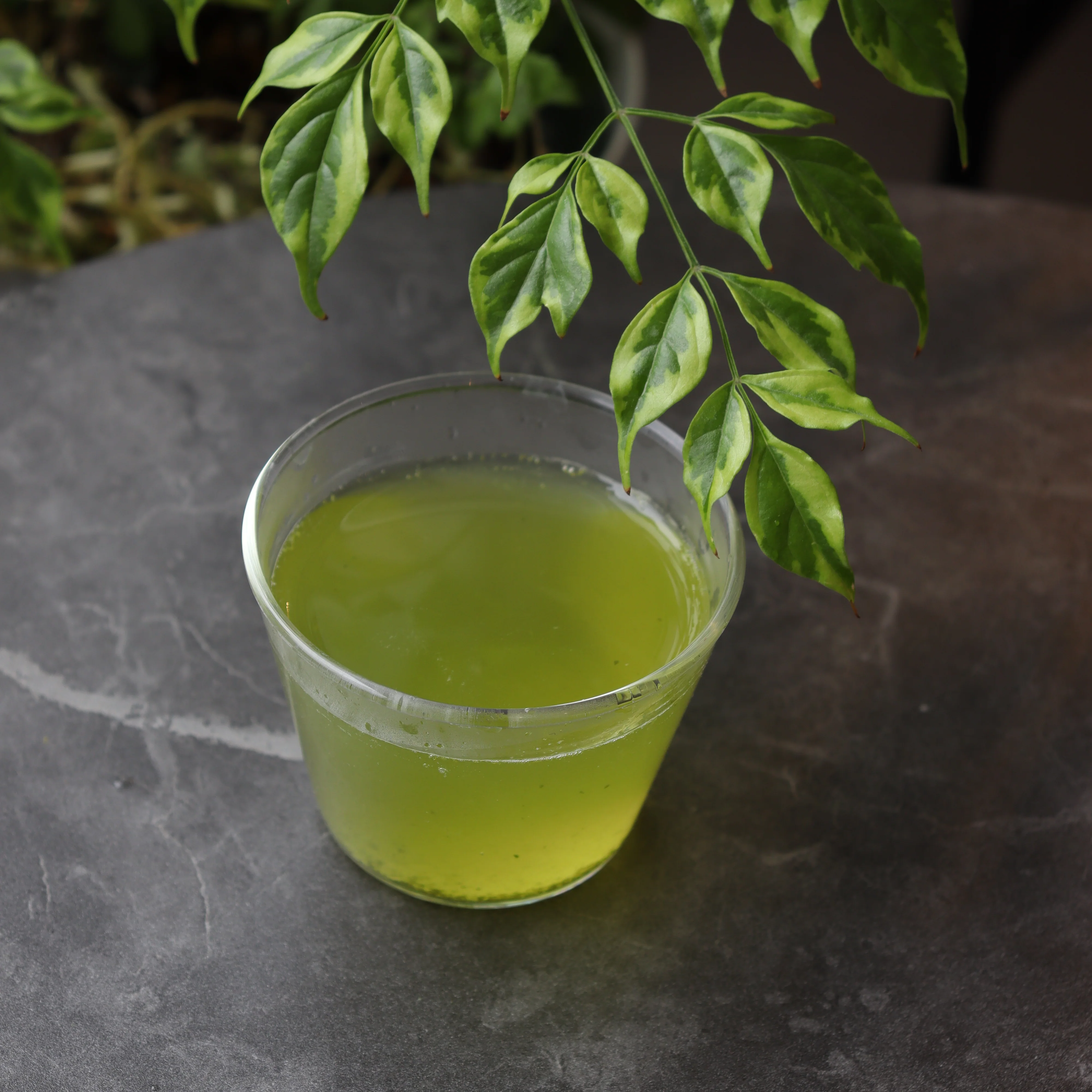 #0203.S5 Dobashien Tea #10: Kakegawa Series: Superior Sencha Rikyu 煎茶 利休 - Image 3