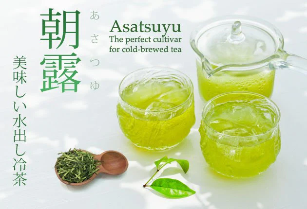 #0201.S5 Dobashien Tea #08: Kakegawa Series: Single Cultivar Sencha, Asatsuyu 煎茶 朝露 - Image 3
