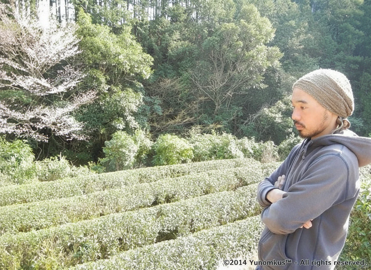 #0225.W1 Dokodemosora #02: Naturally Grown Wakayama Superior Hojicha Roasted Green Tea - Image 3