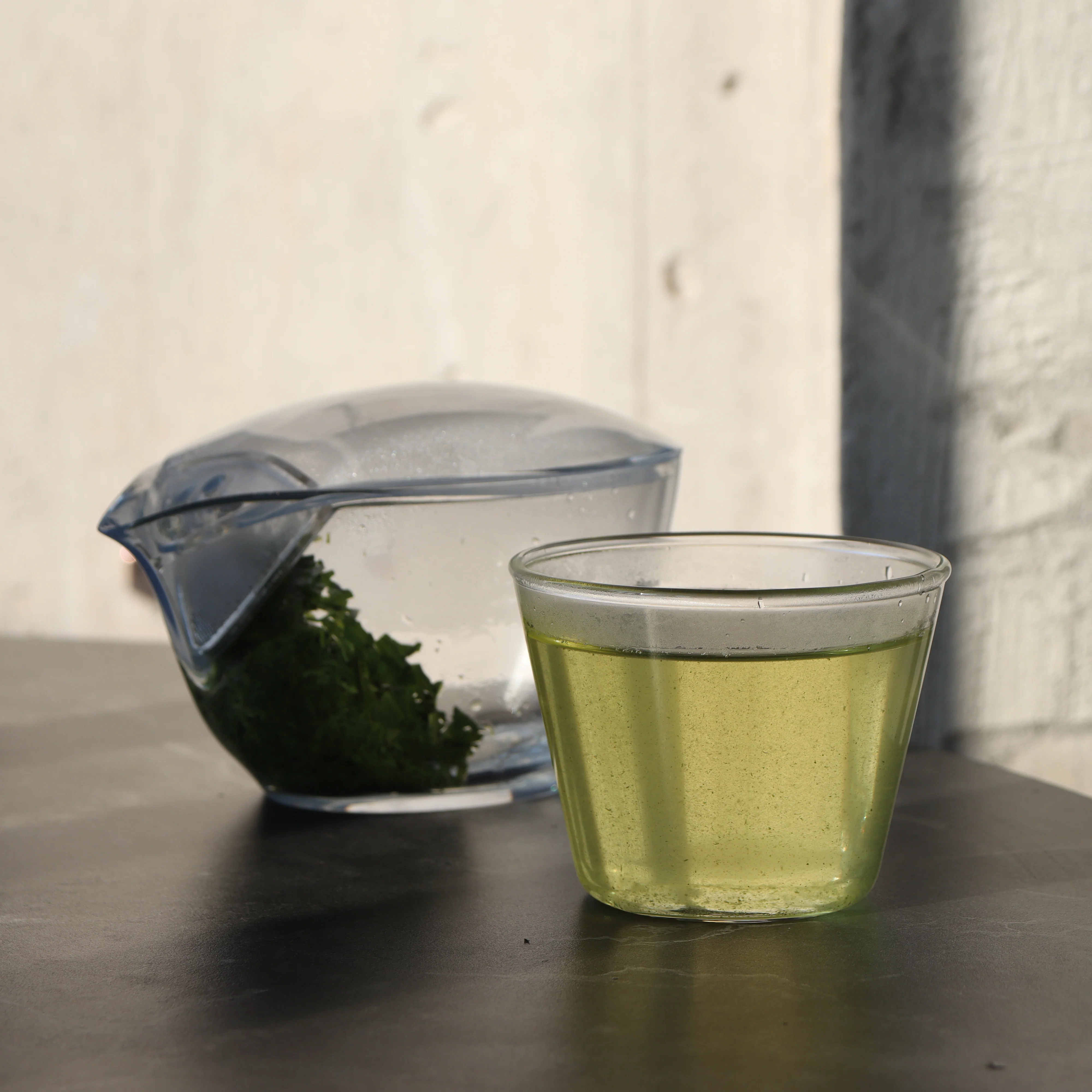 #0289.K2 Furuichi Seicha: #01 Organic Premium Kagoshima Sencha, Midori no Daichi (Jun) みどりの大地(潤) - Image 3