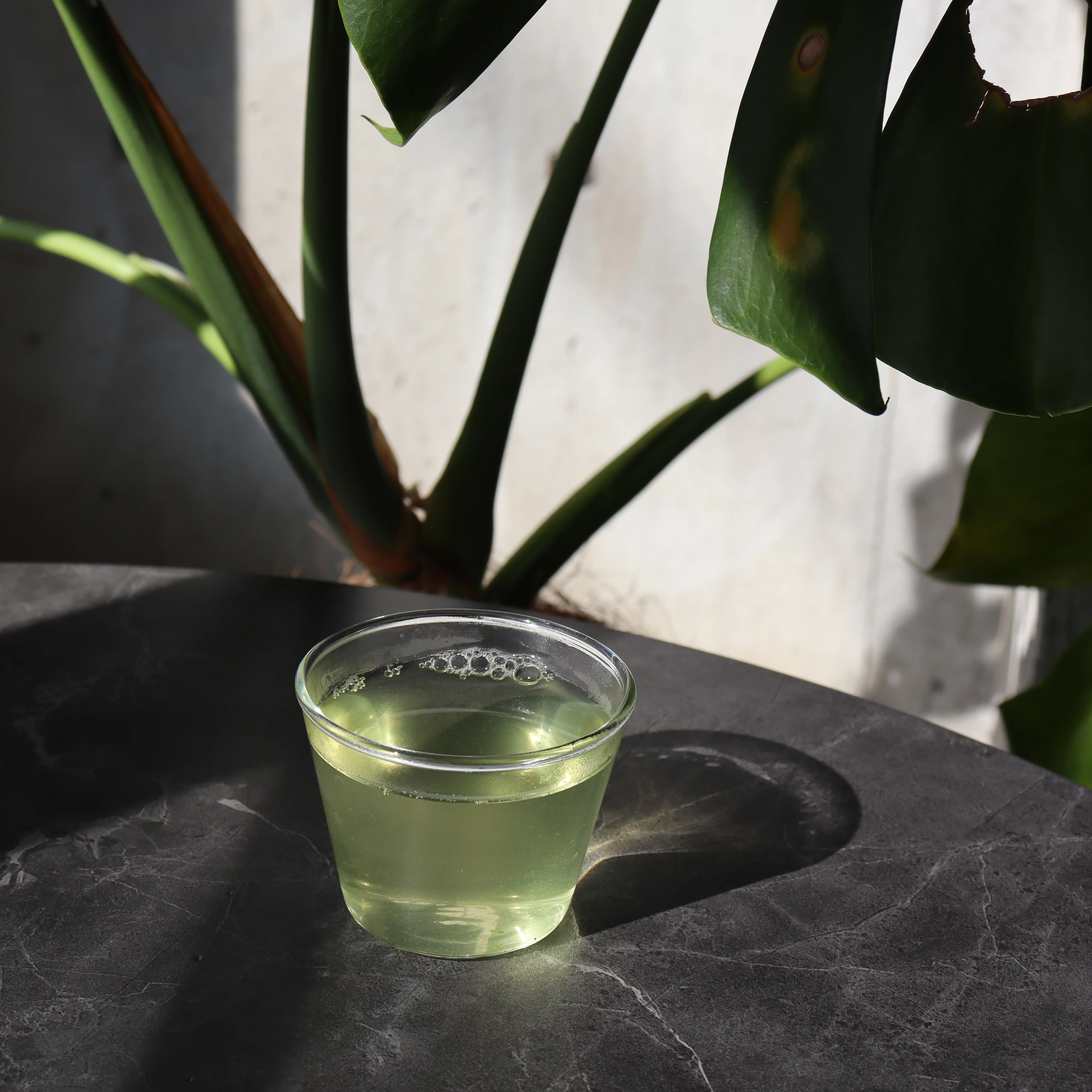 PREORDER available early May 🍵 2026 #0310.K2 Hachimanjyu: Naturally Grown "Hisoka", Spring First Flush April Harvested Green Tea (Yutaka Midori, JAS certified organic) - Image 3