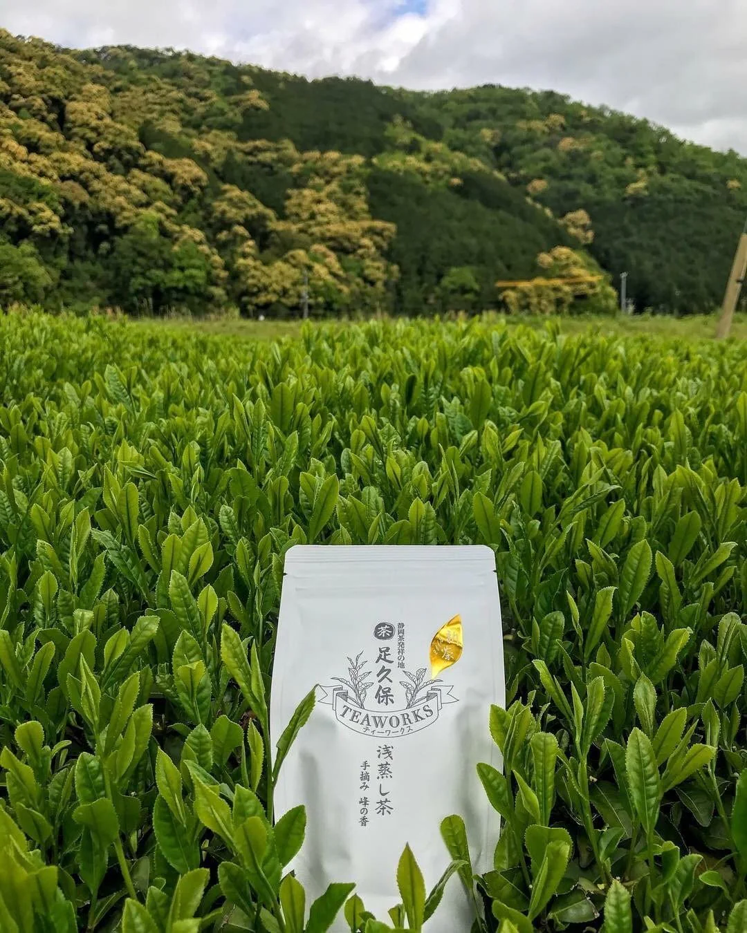 PREORDER available late May 🍵 2026 #0229.S5 Ashikubo Teaworks: Handpicked Asamushi Sencha Mine no Kaori 足久保 浅蒸し茶 手摘み  峰の香 - Image 4