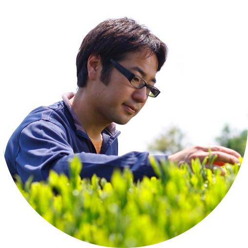 PREORDER available in late May 🍵 #0324.S2 Hiraoka Tea Garden: Shincha - Premium Grade Sencha "Sakura"　特上煎茶「桜」 - Image 2