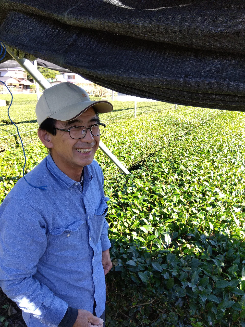 #0327.S2 Honyama Matcha from the Hills of Shizuoka Matcha - Standard Barista Grade - Image 3