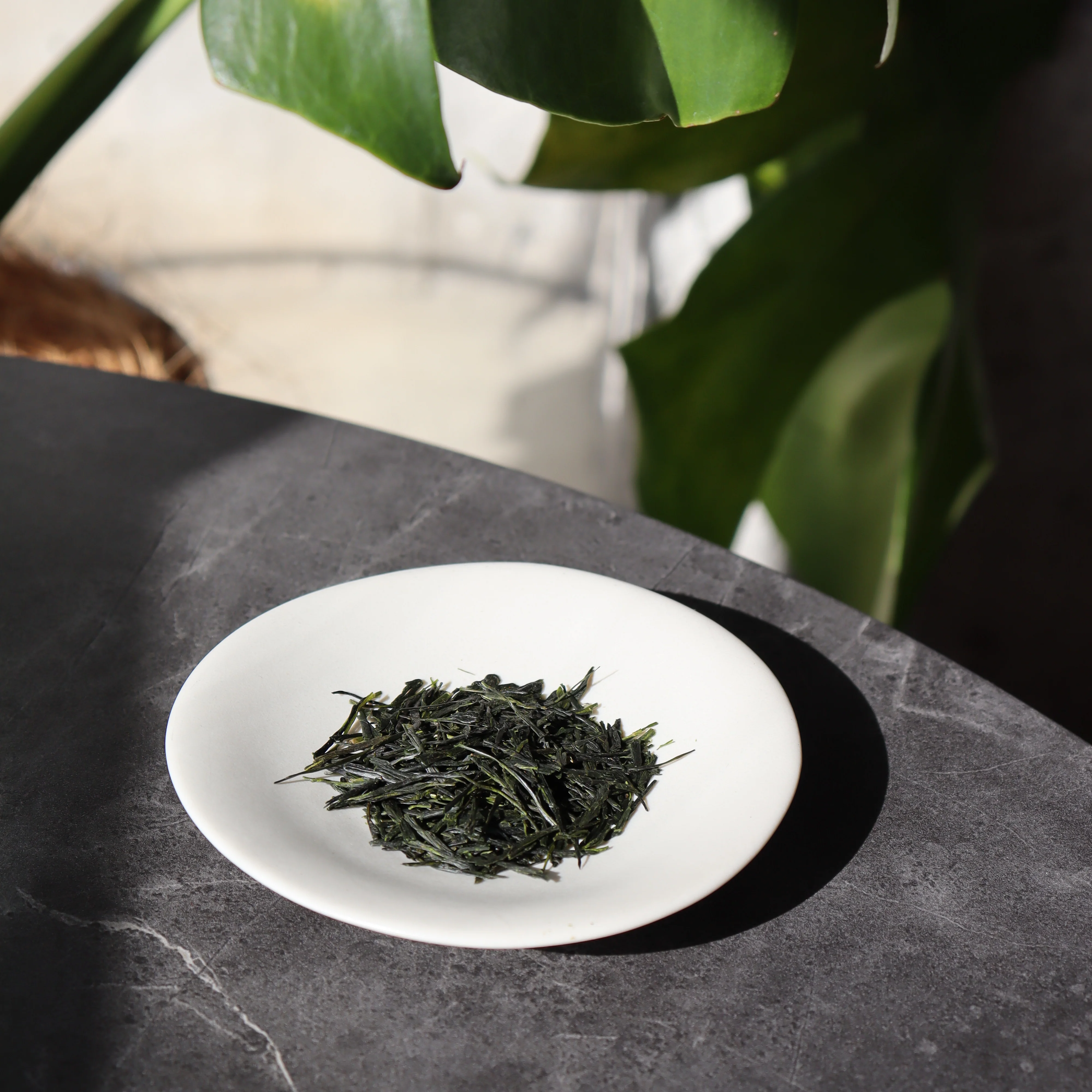 #0349.K2 Tanegashima Island Shoju 2026 (micro batch, limited) - Single Cultivar Sencha - Iba Takahiro Tea Garden