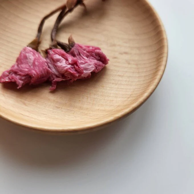 Iijima Seitarou Shoten KN003: Salt-Pickled Sakura Blossoms (Japanese-grown) 桜花の塩漬 - Image 3