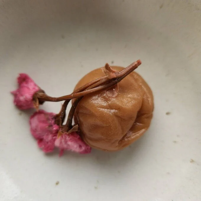 Iijima Seitarou Shoten KN003: Salt-Pickled Sakura Blossoms (Japanese-grown) 桜花の塩漬 - Image 5
