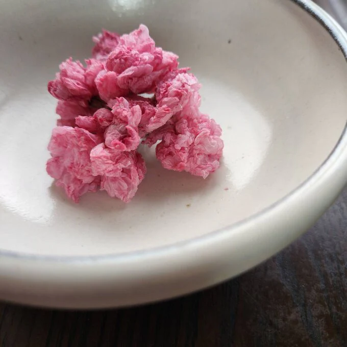 Iijima Seitarou Shoten KN003: Salt-Pickled Sakura Blossoms (Japanese-grown) 桜花の塩漬 - Image 6