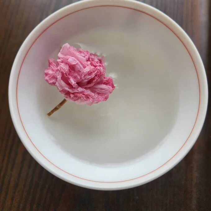 Iijima Seitarou Shoten KN003: Salt-Pickled Sakura Blossoms (Japanese-grown) 桜花の塩漬 - Image 7