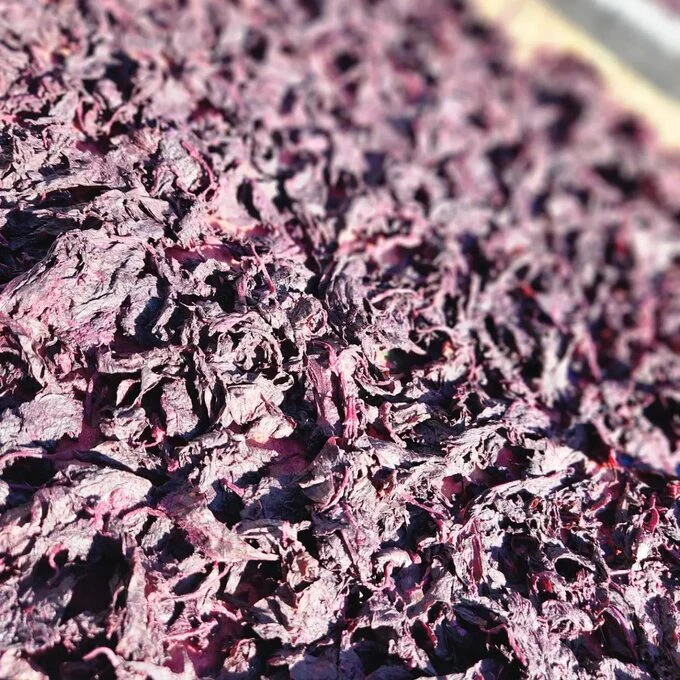 Iijima Seitarou Shoten KN004: Yukari - Sundried, salt-pickled shiso leaves ゆかり - Image 5