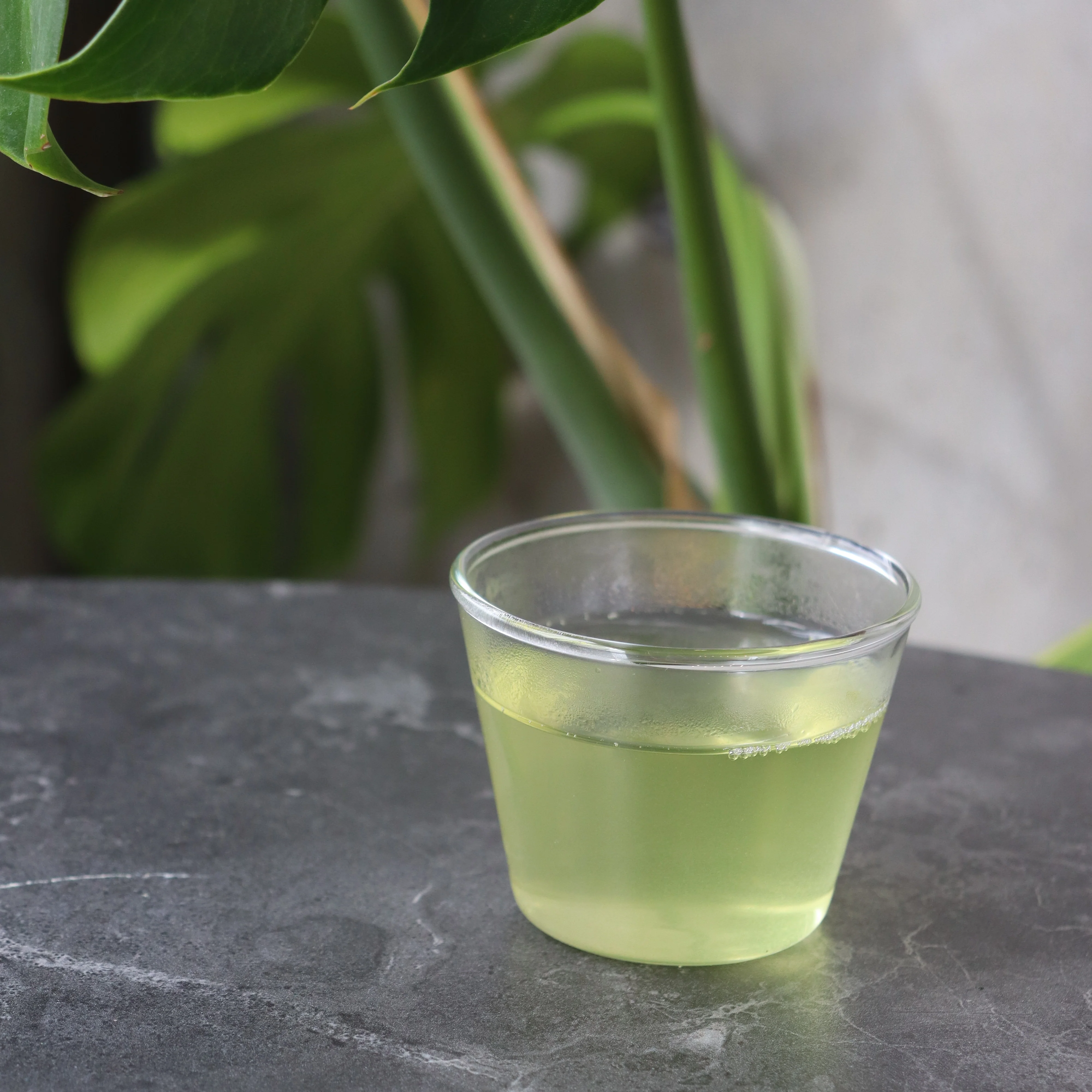 PREOEDER 2026 #0596.K4 Ikegawa Tea Farm Coop:  First Flush Kochi Sencha, Kiri no Kaori 池川一番茶煎茶［霧の薫］ - Image 4