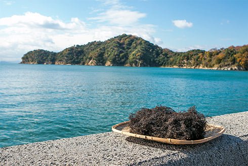 Amabito no Moshio Gourmet Seaweed Salt by Kamagari Bussan - Image 4