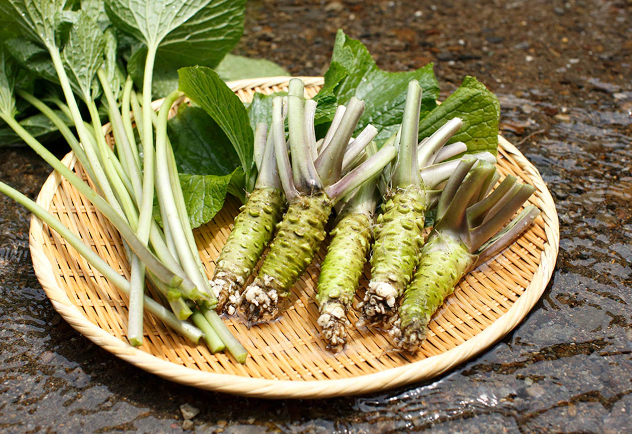 Kameya Foods: Farm Direct Wasabi Chazuke - Seasoning for Rice Tea Soup - Image 6