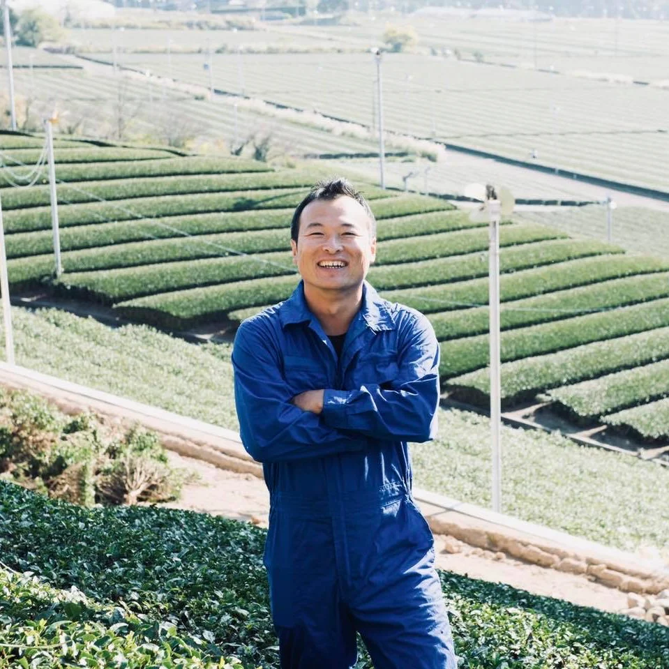 #0376.S5 Kaneroku Matsumoto Tea Garden: Summer White Tea Single Cultivar Koushun 白茶香駿 - Image 2