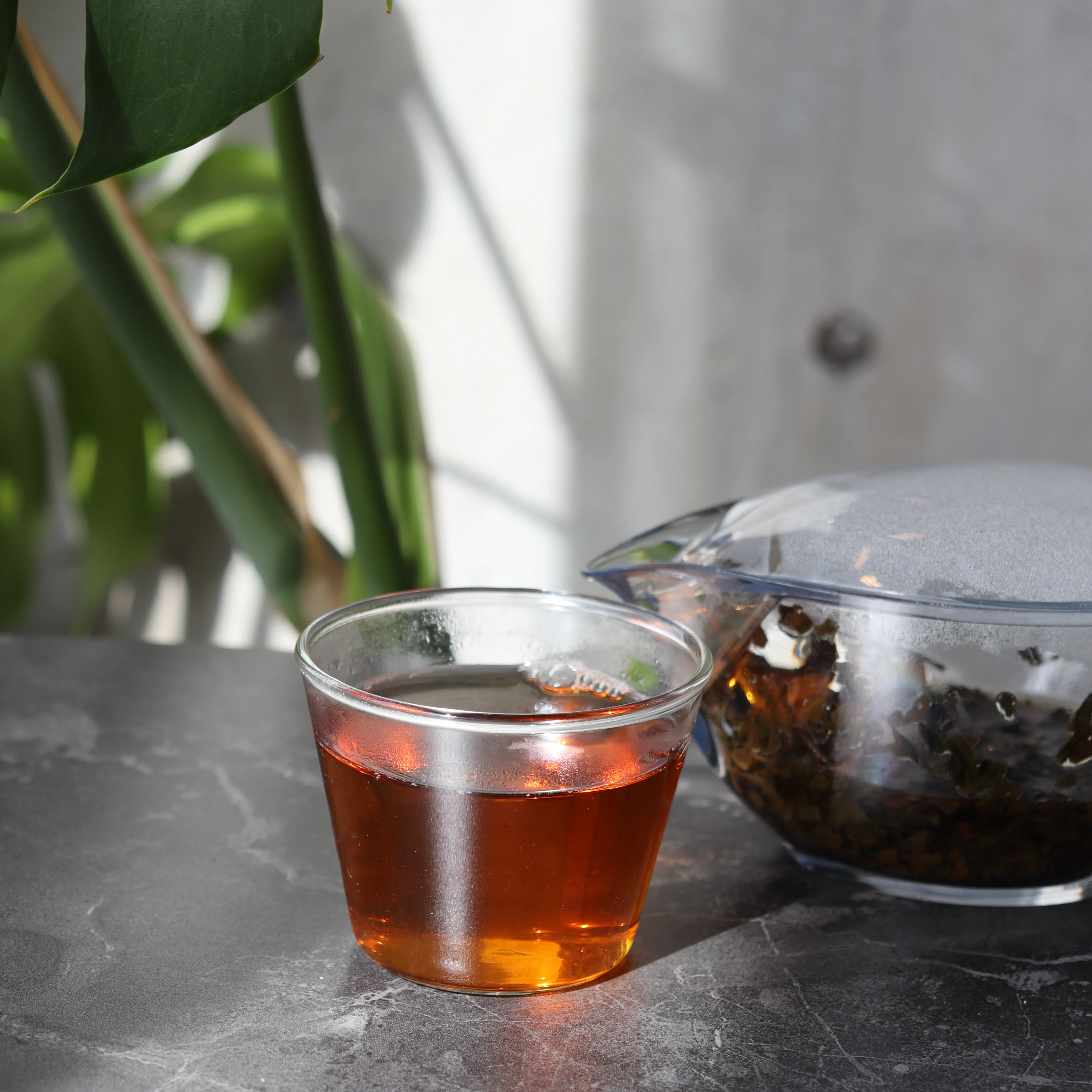 #0394.S5 Kanes Tea: Gaba Oolong Tea (Naturally Grown & Organic, GABA level: 520mg per 100g) - Image 3