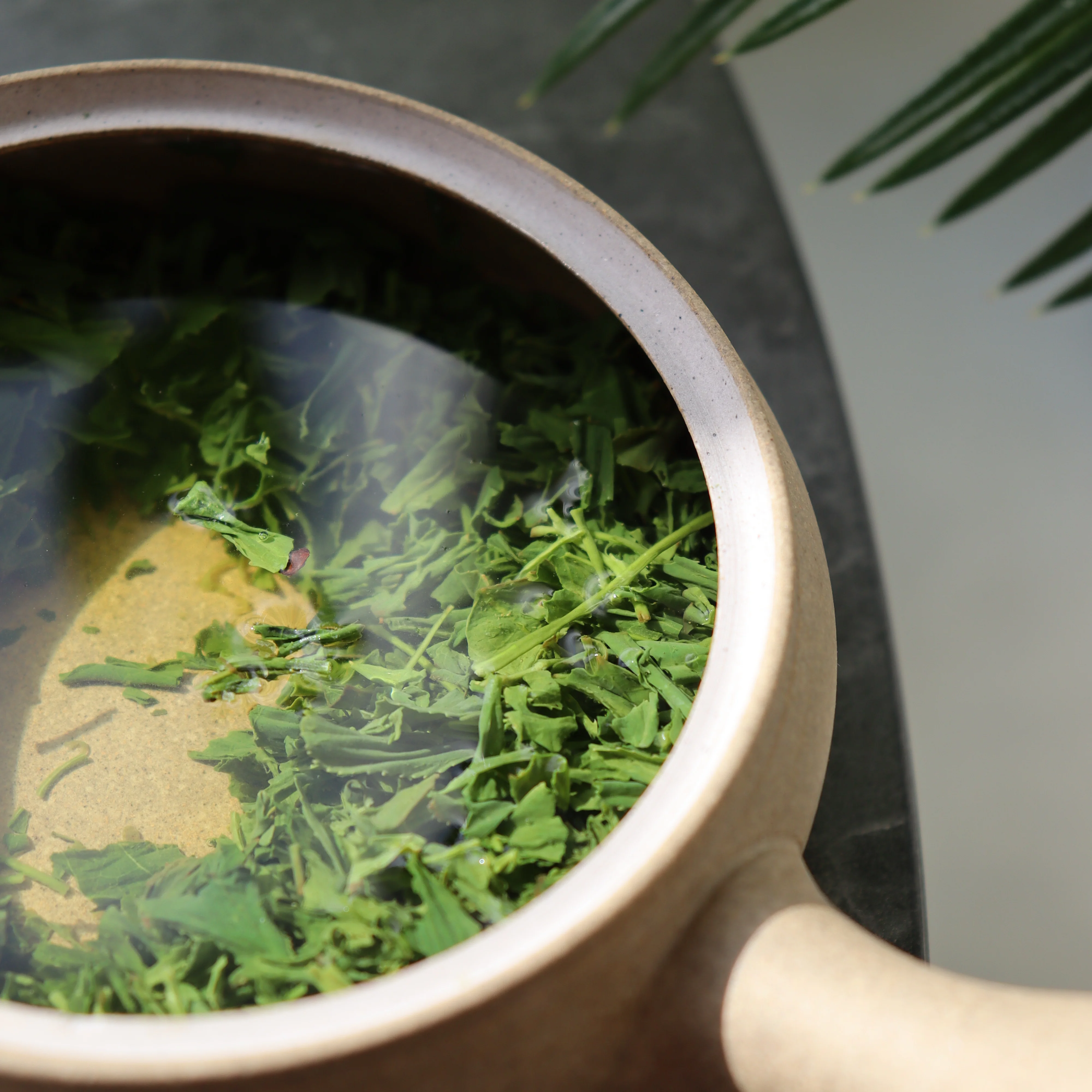 PREORDER available late June 🍵 2026 #0424.K2 Koukien Tea Garden: Asamushi Kabusecha - Kawaguchi Sisters' Kirishimacha Refreshing Moment - Superior ホッと一息 - Image 3