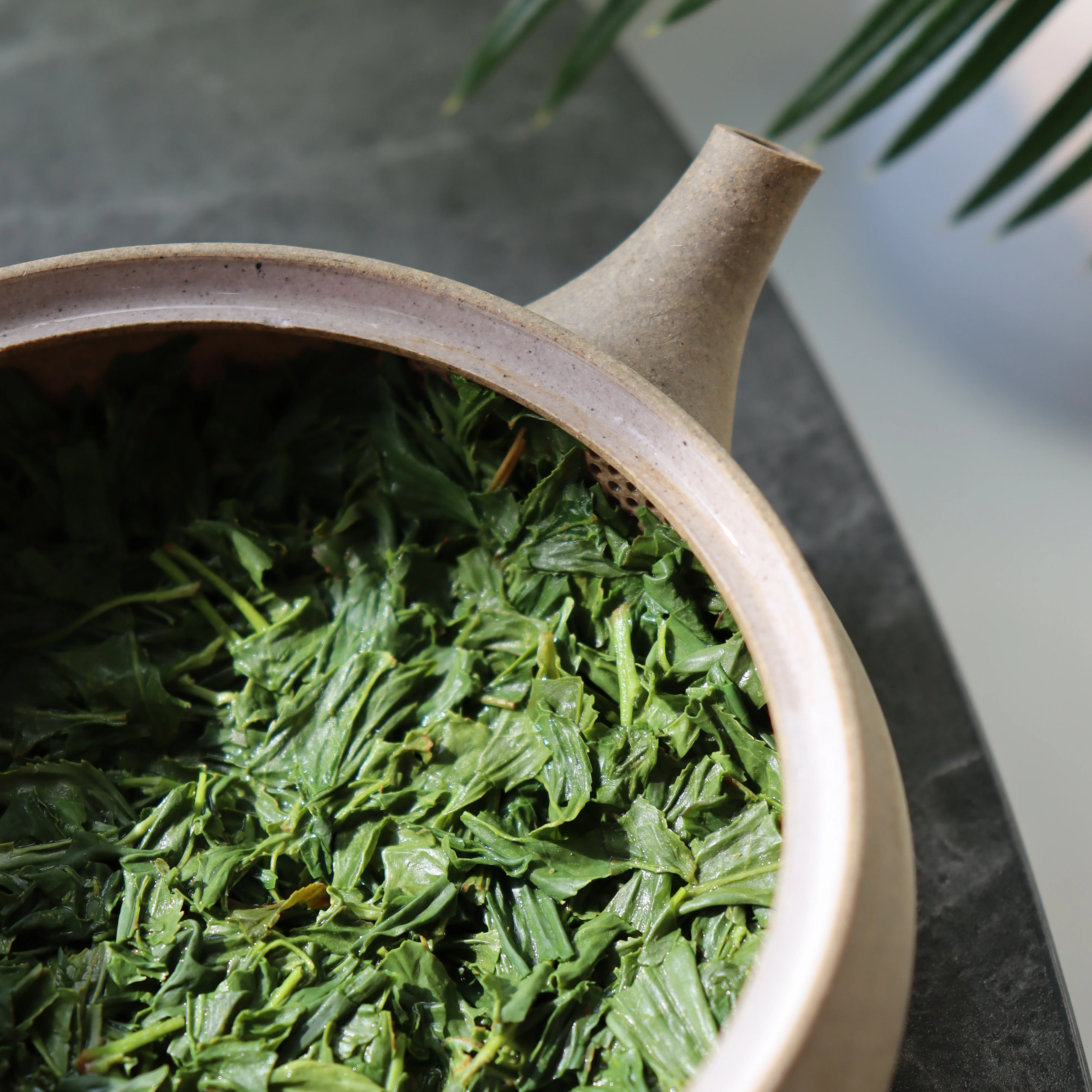 PREORDER available late June 🍵 2026 #0424.K2 Koukien Tea Garden: Asamushi Kabusecha - Kawaguchi Sisters' Kirishimacha Refreshing Moment - Superior ホッと一息 - Image 4