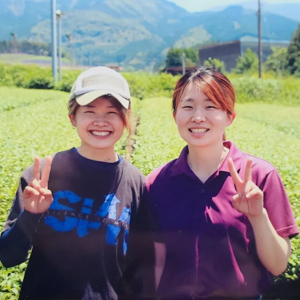 PREORDER available late June 🍵 2026 #0424.K2 Koukien Tea Garden: Asamushi Kabusecha - Kawaguchi Sisters' Kirishimacha Refreshing Moment - Superior ホッと一息 - Image 6