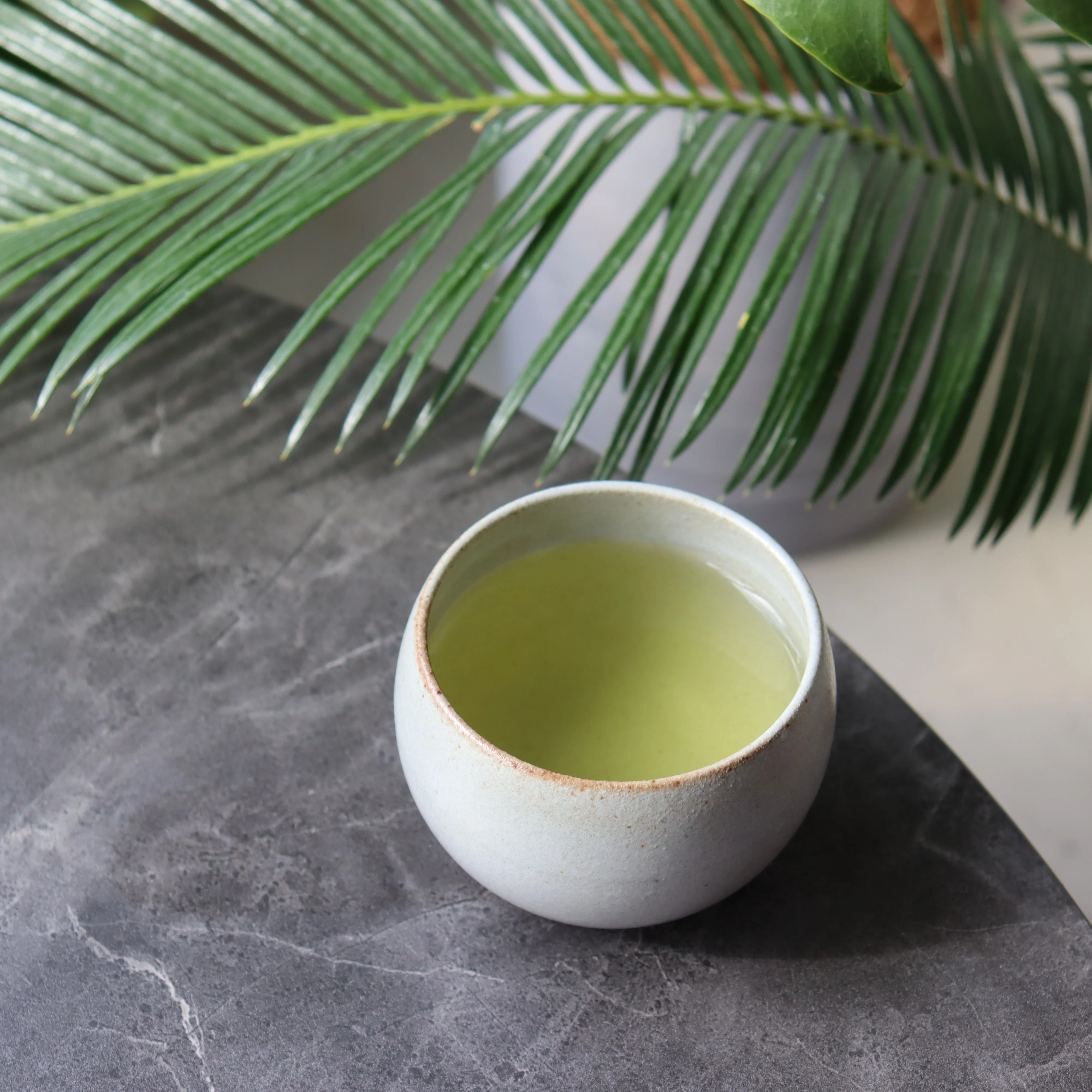 PREORDER available June 🍵 2026 #0422.K2 Koukien Tea Garden: Asamushi Kabusecha - Kawaguchi Sisters' Kirishimacha Refreshing Moment - Premium ホッと一息