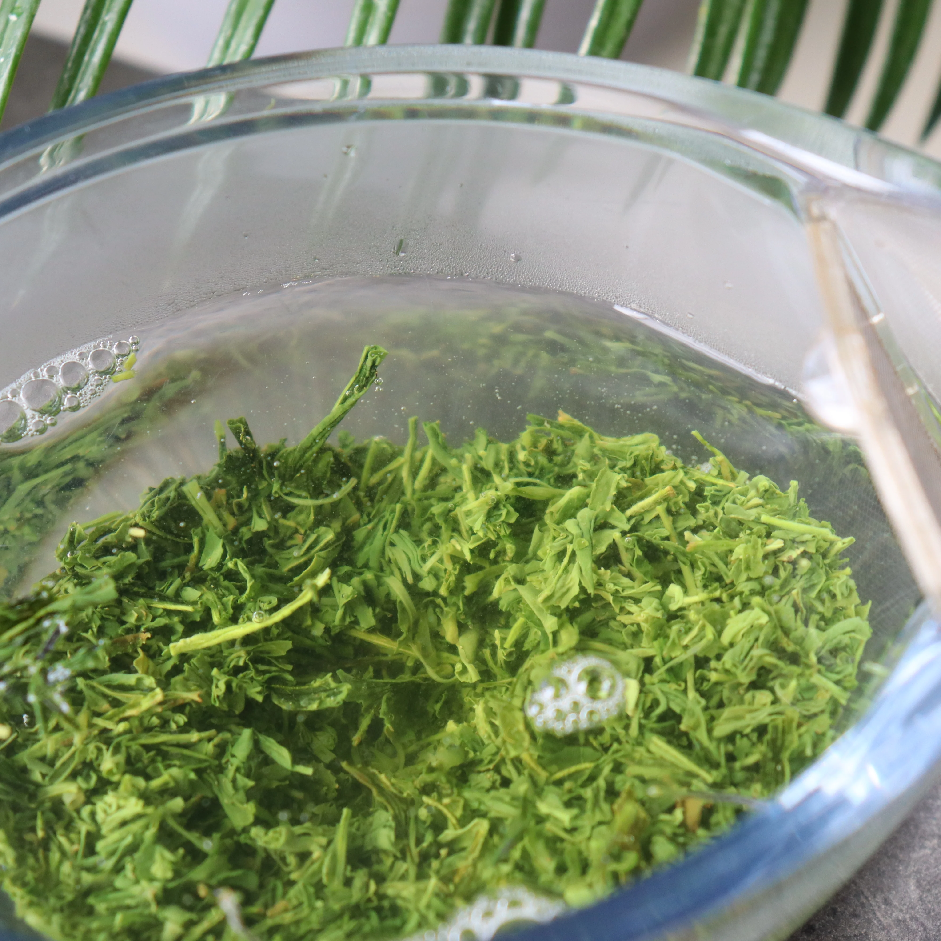 PREORDER available June 🍵 2026 #0422.K2 Koukien Tea Garden: Asamushi Kabusecha - Kawaguchi Sisters' Kirishimacha Refreshing Moment - Premium ホッと一息 - Image 5