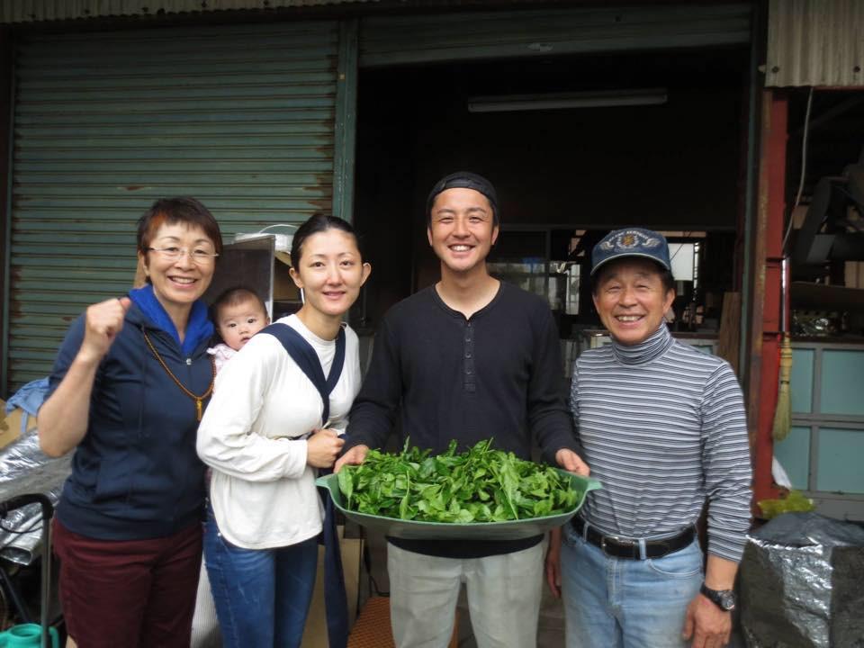 #0687.K5 Tomizawa Tea Garden: Naturally Grown Gyokuro Tamaryokucha from Mashiki, Kumamoto - "Green Tea.Lab" 玉露 - Image 5