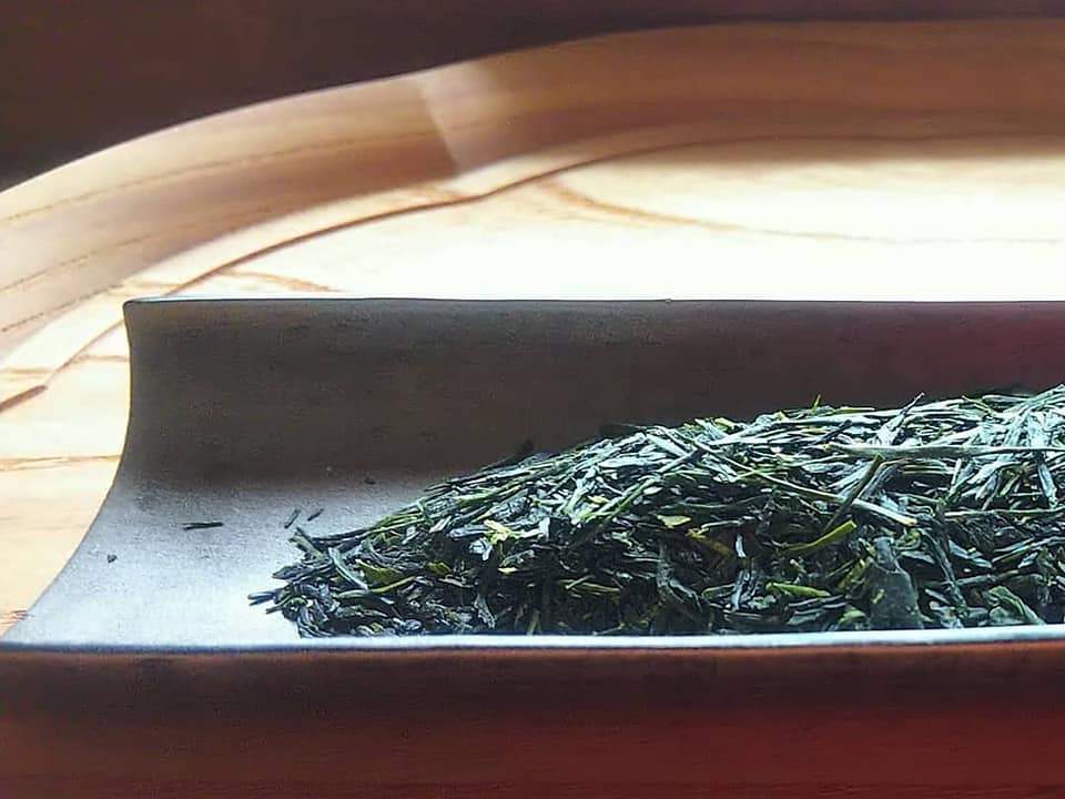 PREORDER available in June 🍵 2026 #0437.F2 Kuma Tea Garden FK034: Yamecha Sencha Tsuyuhikari - Image 4