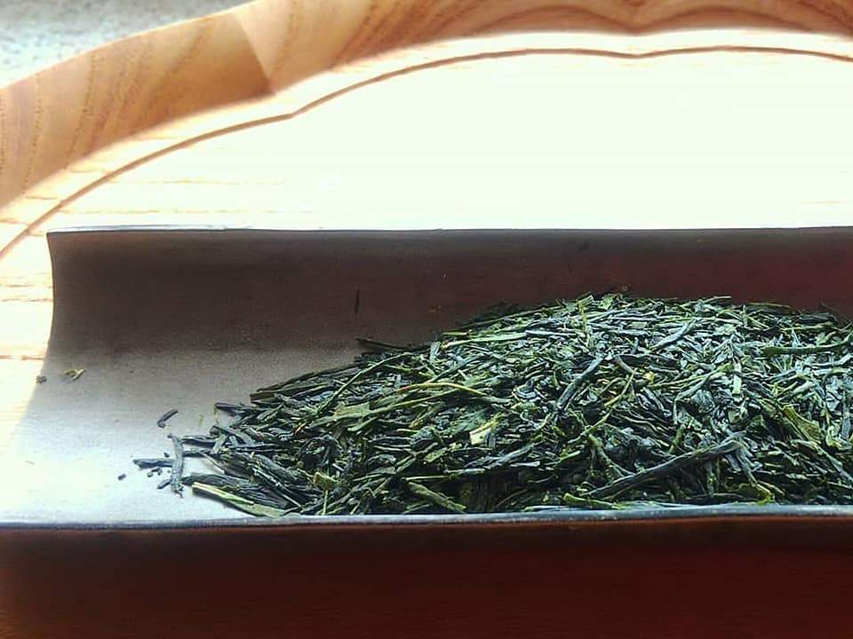 PREORDER available in June 🍵 2026 #0435.F2 Kuma Tea Garden: Yamecha Mountain-Grown Sencha Yabukita 奥八女 上陽茶 やぶきた - Image 4