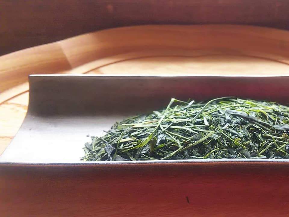 PREORDER available in June 🍵 2026 #0436.F2 Kuma Tea Garden FK033: Mountain-Grown Yame Sencha (Unshaded), Single Cultivar Kirari 31 - Image 5