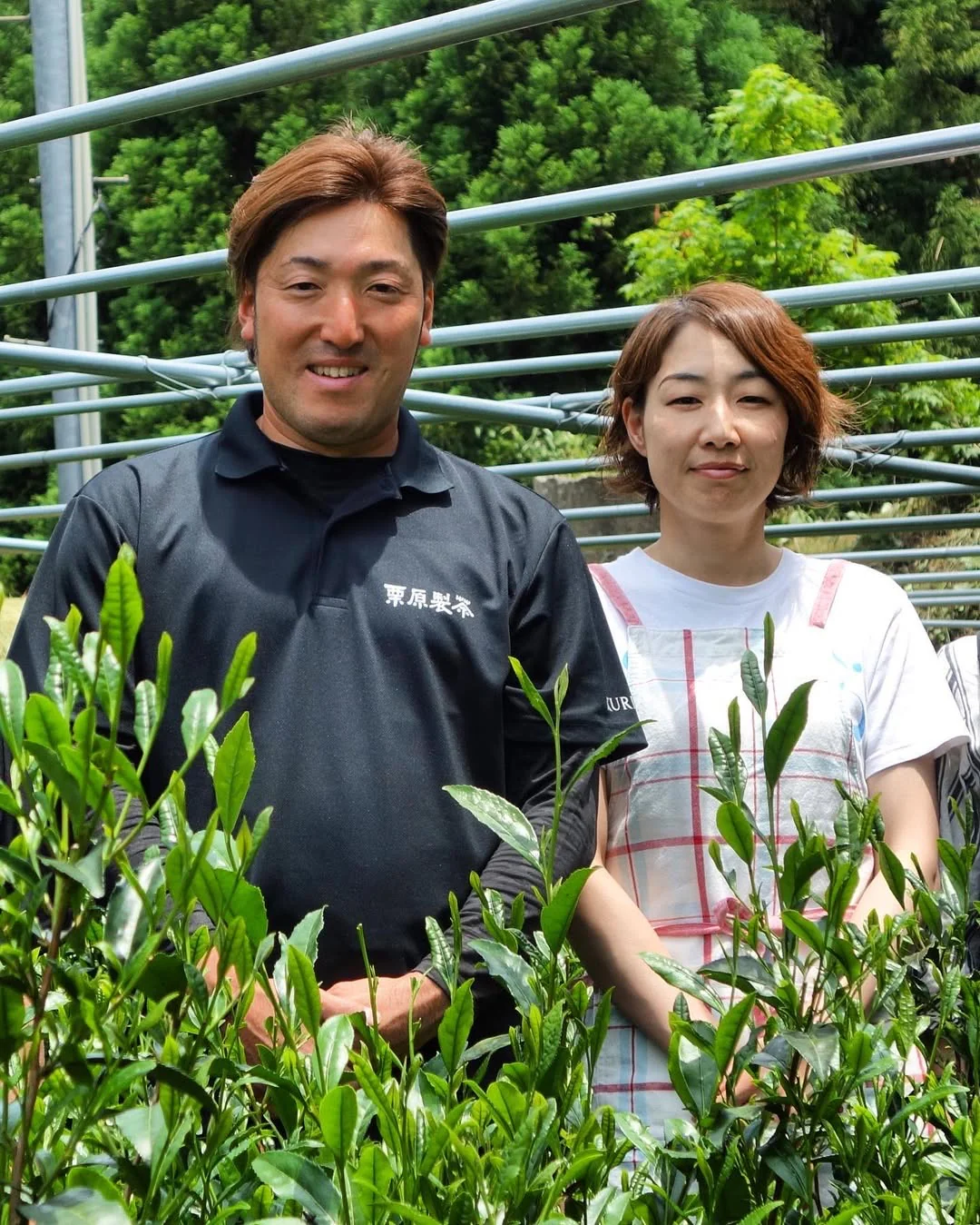 PREORDER available in June 🍵 2026  #0067.F2 Kurihara Tea: Shin 心 (Heart) - Premium Gyokuro Green Tea - Naturally Grown - Image 3