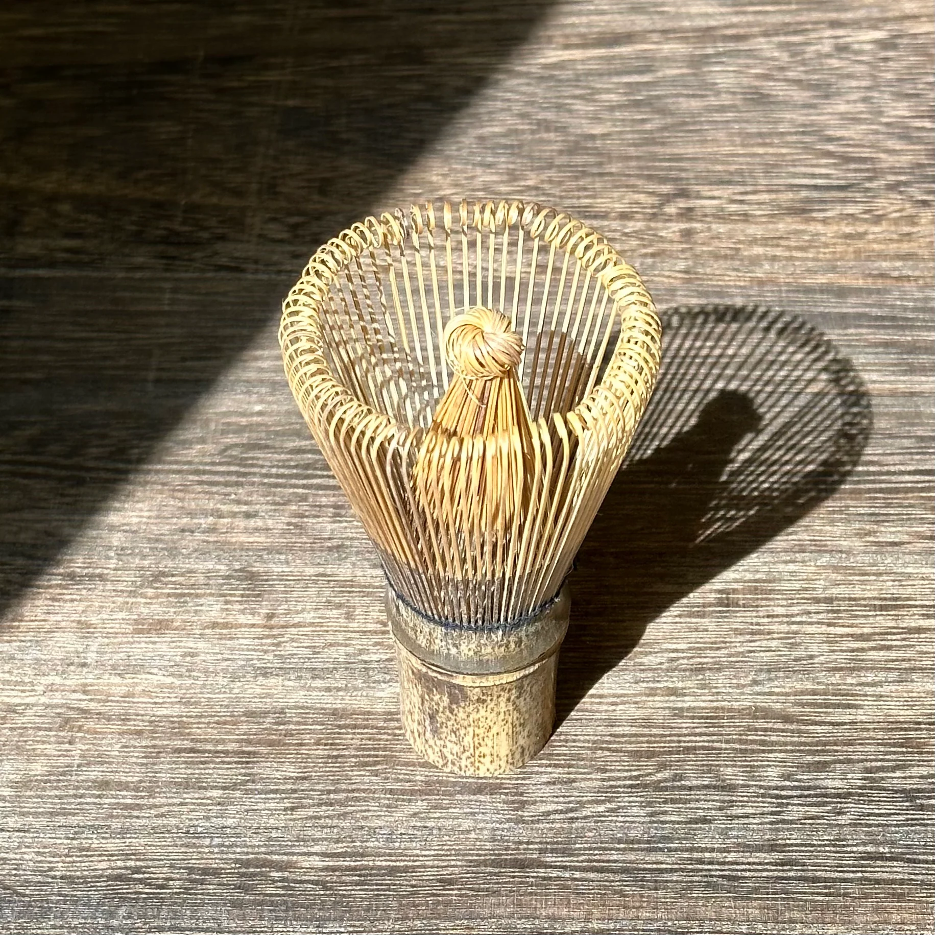 Basic Matcha Bamboo Whisk - Rikyu Chasen (100prong) - Image 4