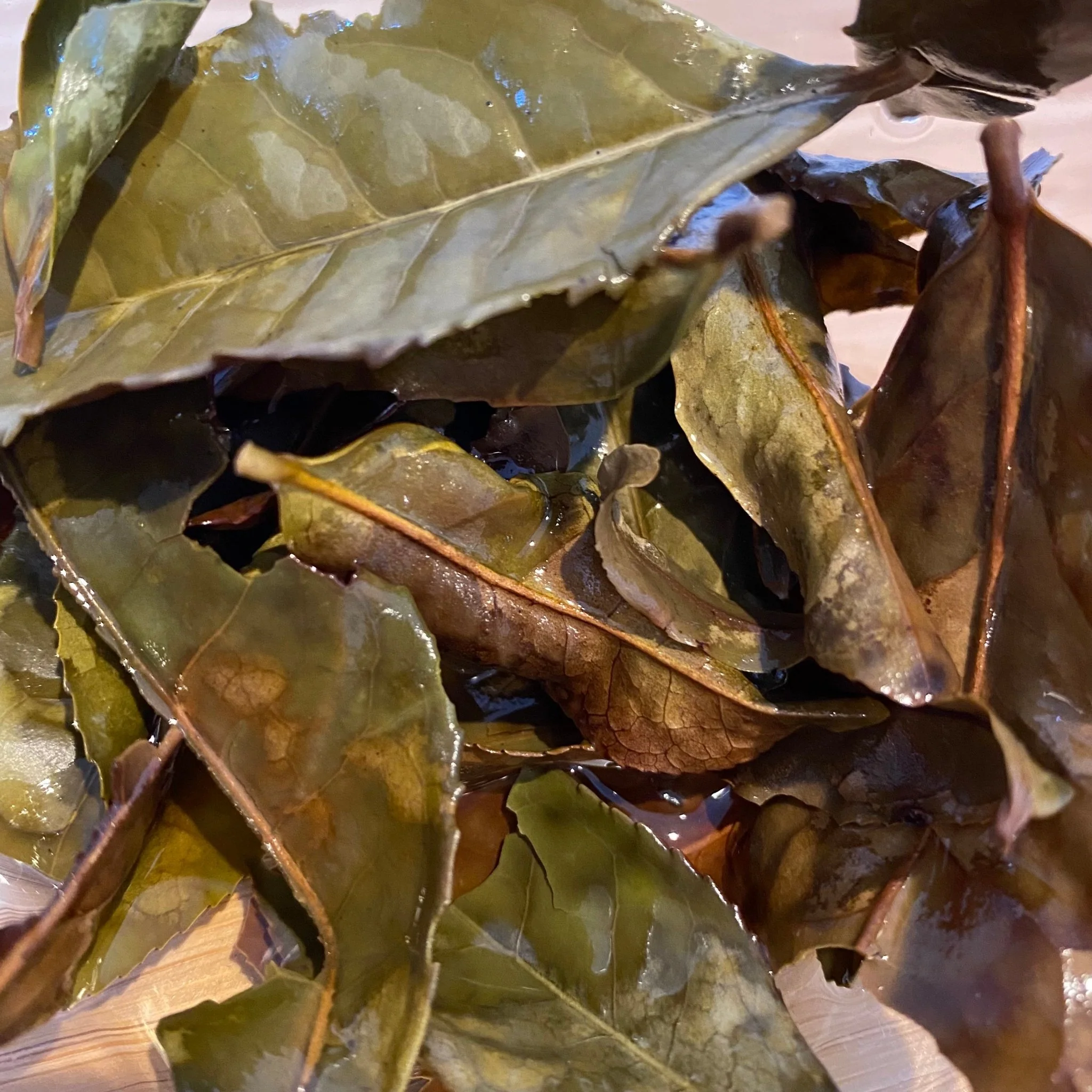 #0620.N3 Mitocha NR006: Makibi Kancha Firewood Winter Green Tea (Aged) 薪火寒茶 - Image 6