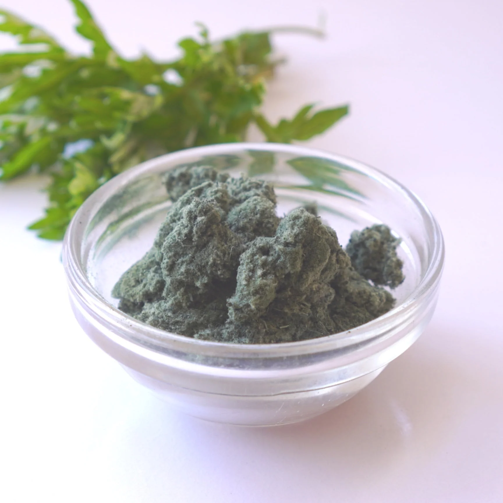 Yomogi (Mugwort) Powder from Aomori, Kyo no Kanbutsuya 京の乾物屋 青森産よもぎ使用よもぎ粉 - Image 3